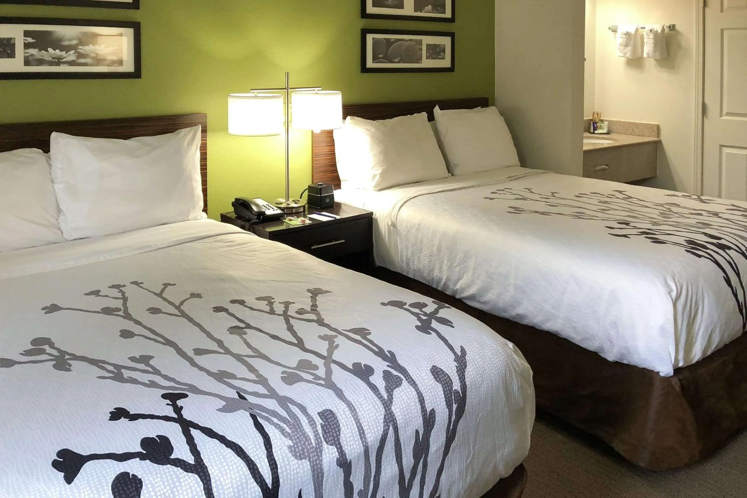 Superior Double Room with Two Double Beds - Non-Smoking/ Ultra Clean in Sleep Inn McDonough South