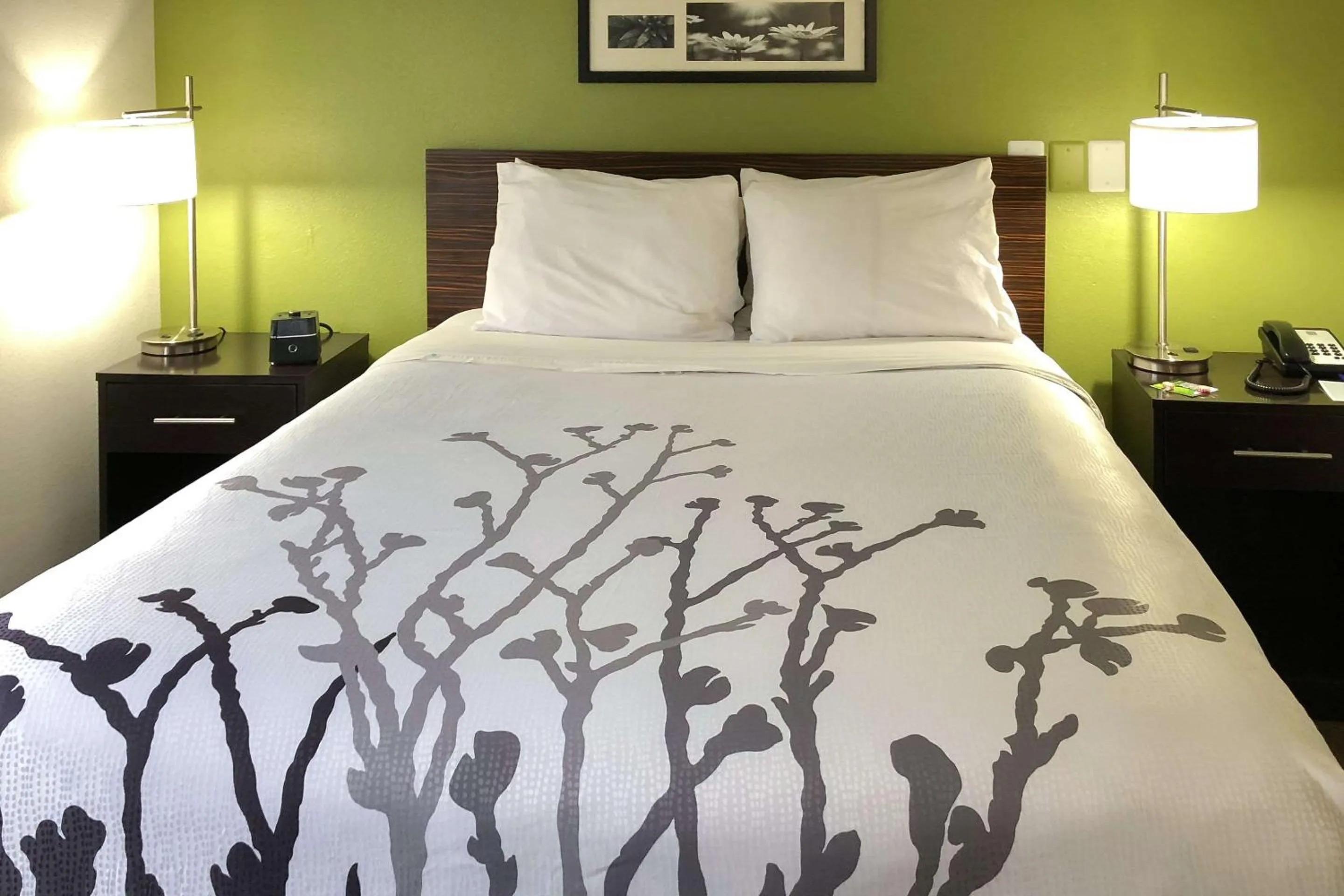 Club Queen Room - Non-Smoking in Sleep Inn McDonough South