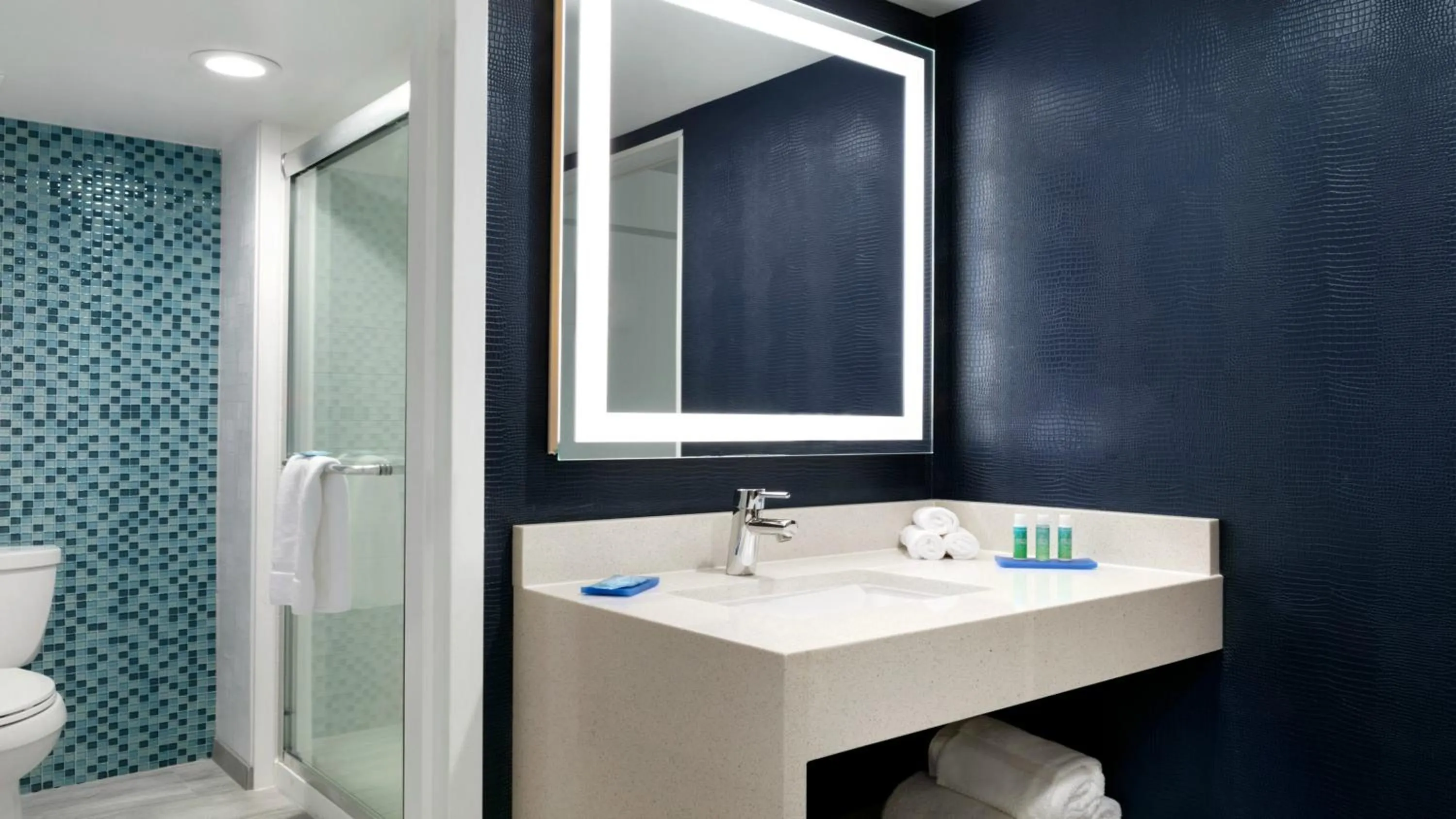 King Room with Hearing Accessible Roll In Shower - Non-Smoking in Holiday Inn Express - Williamsburg Busch Gardens Area by IHG