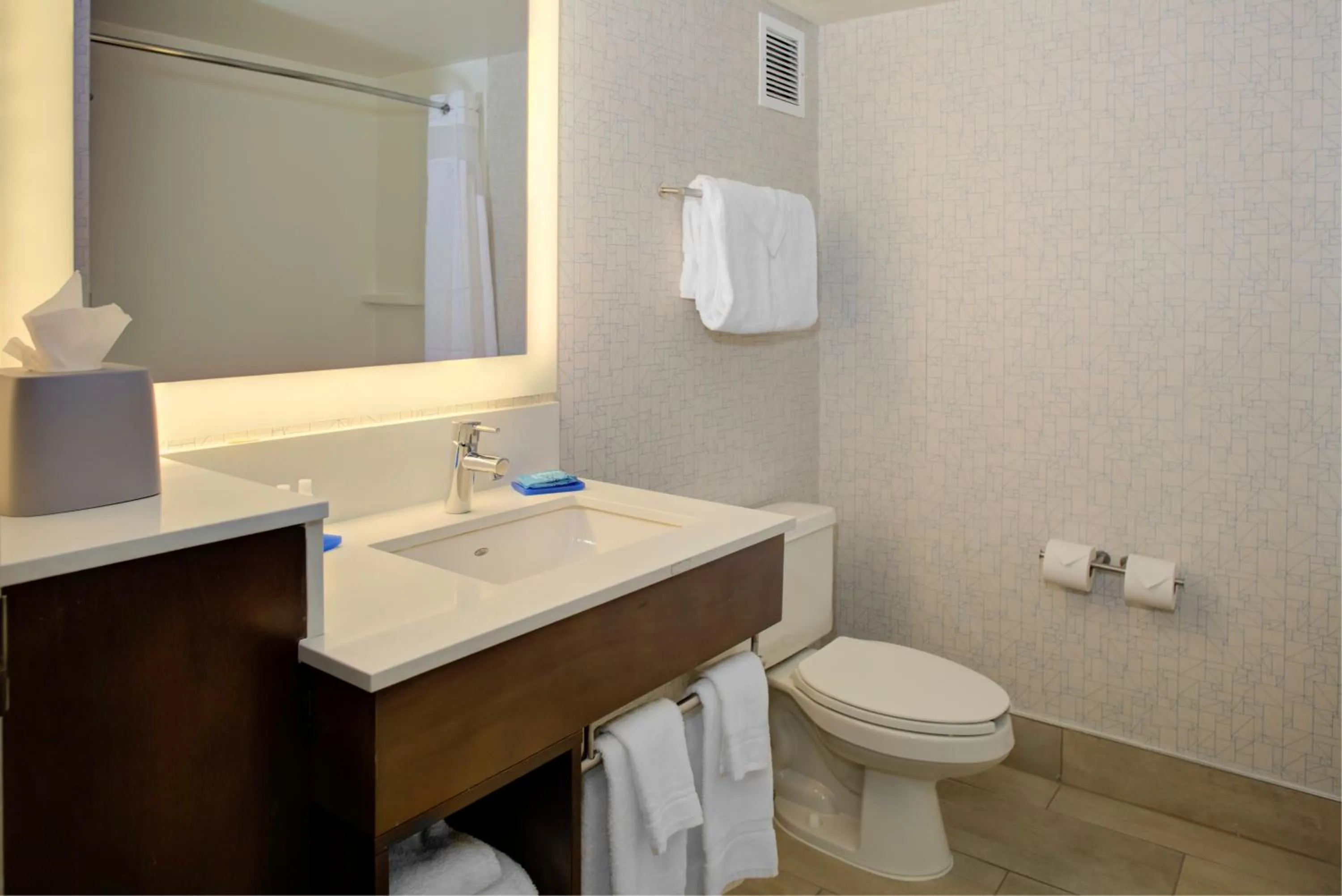 Standard King Room with Mobility Accessible Roll-In Shower in Holiday Inn Express - Chester by IHG