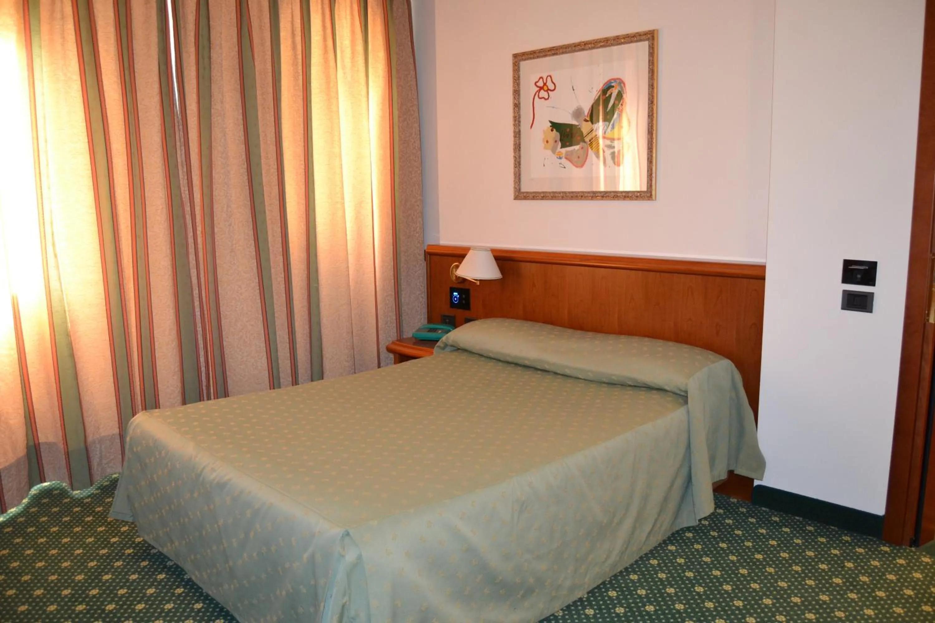 Single Room in Hotel Due Leoni