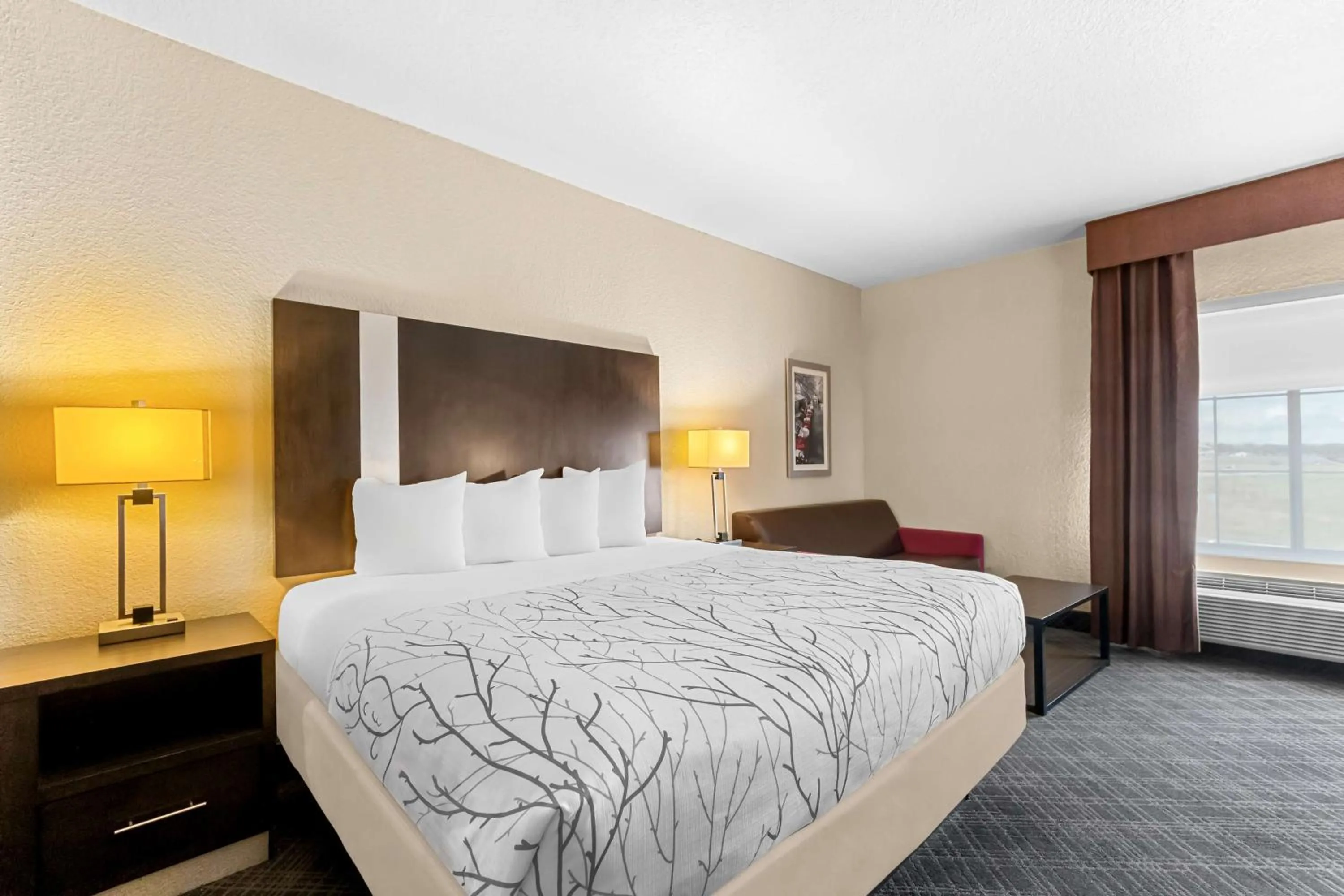 King Room with Sofa Bed in Best Western Boerne Inn & Suites