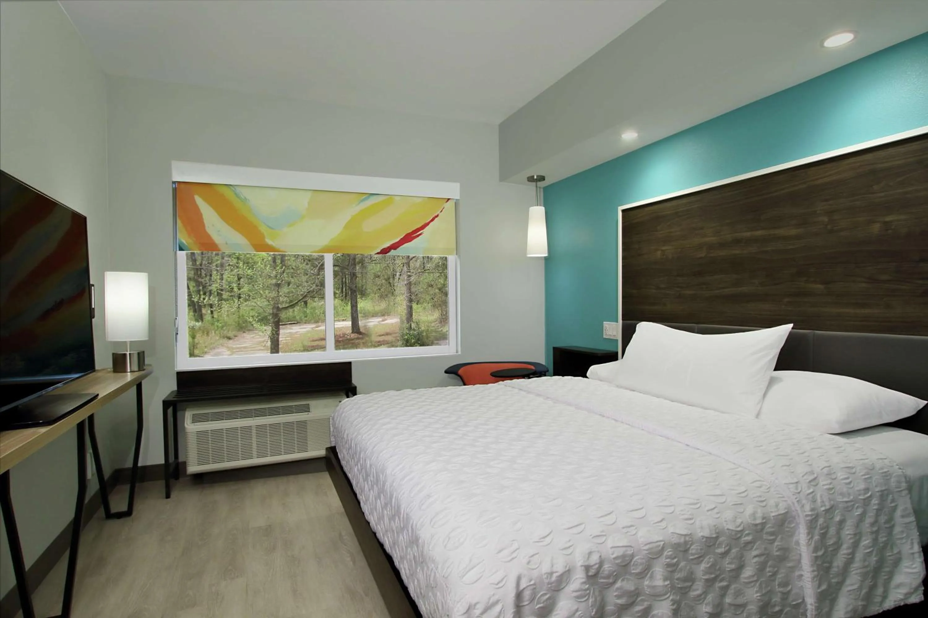 King Room in Tru By Hilton Meridian