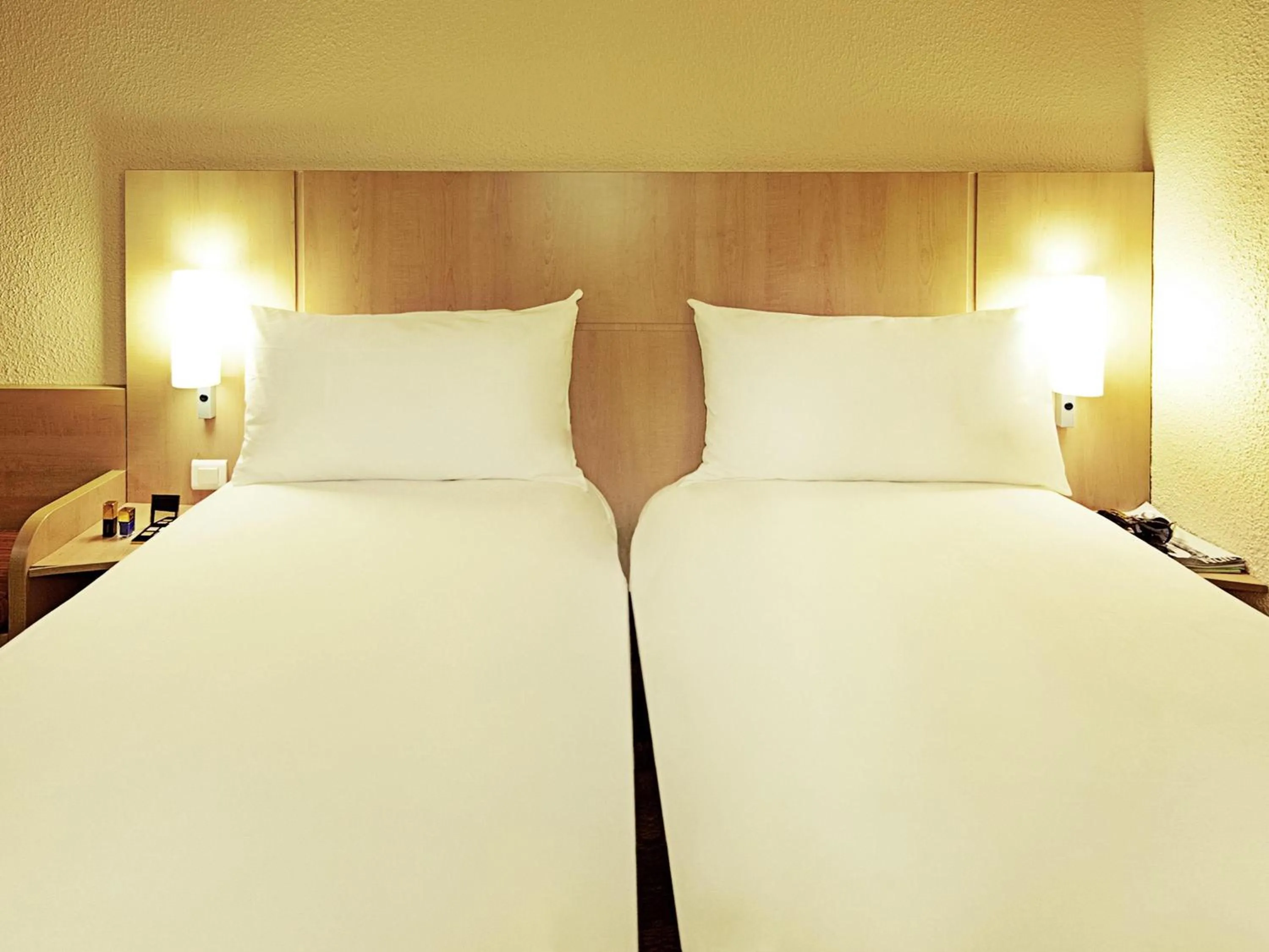 Standard Twin Room in Ibis Aguascalientes Norte