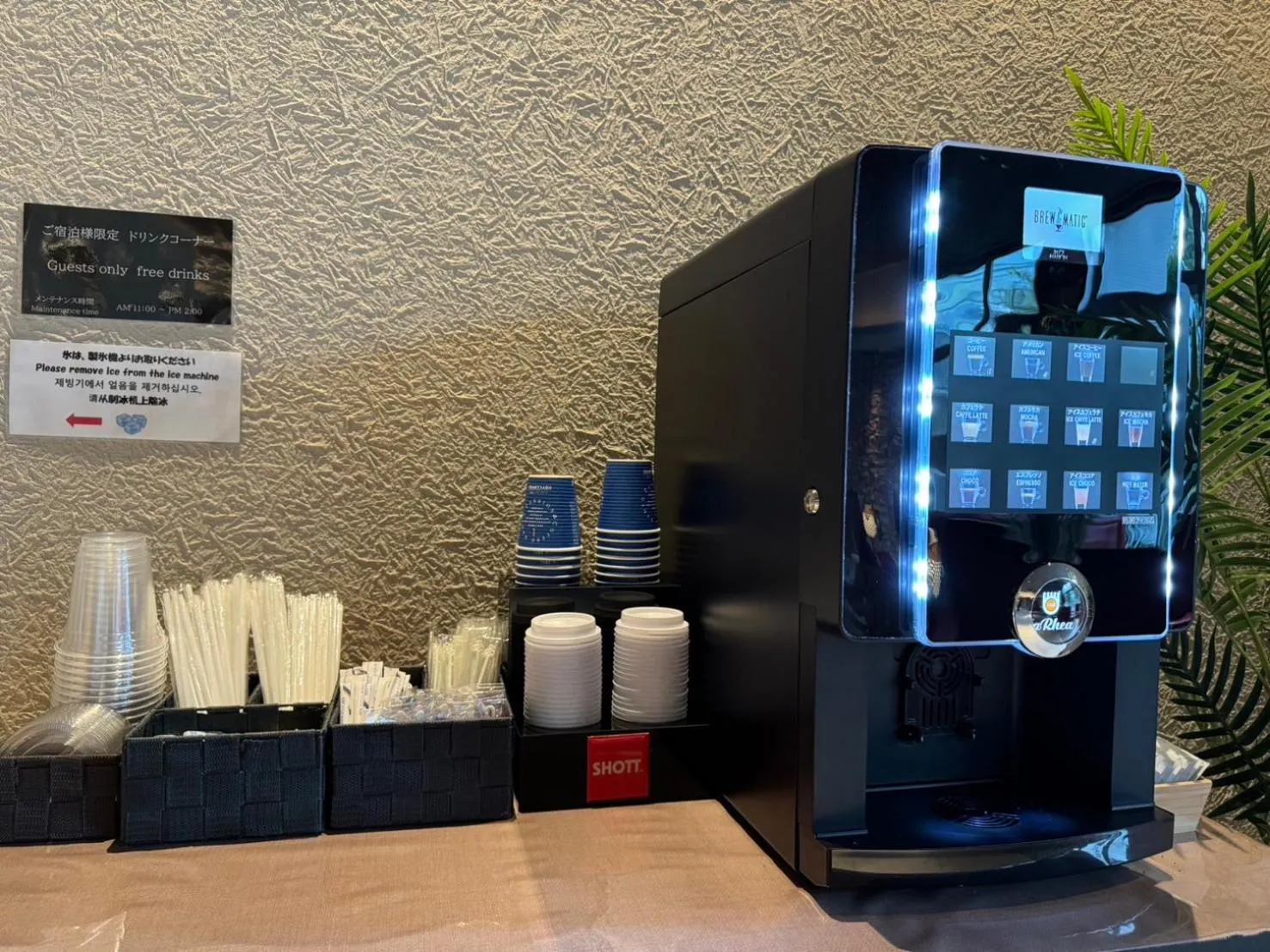 Superior Single Room in Morinoyu Resort