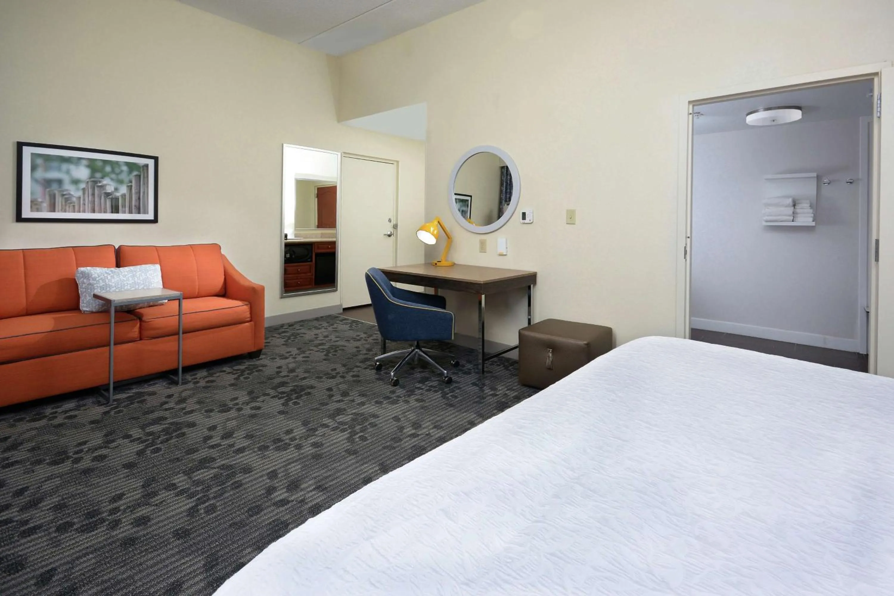 King Suite with Roll-In Shower - Mobility and Hearing Access/Non-Smoking in Hampton Inn & Suites Clinton