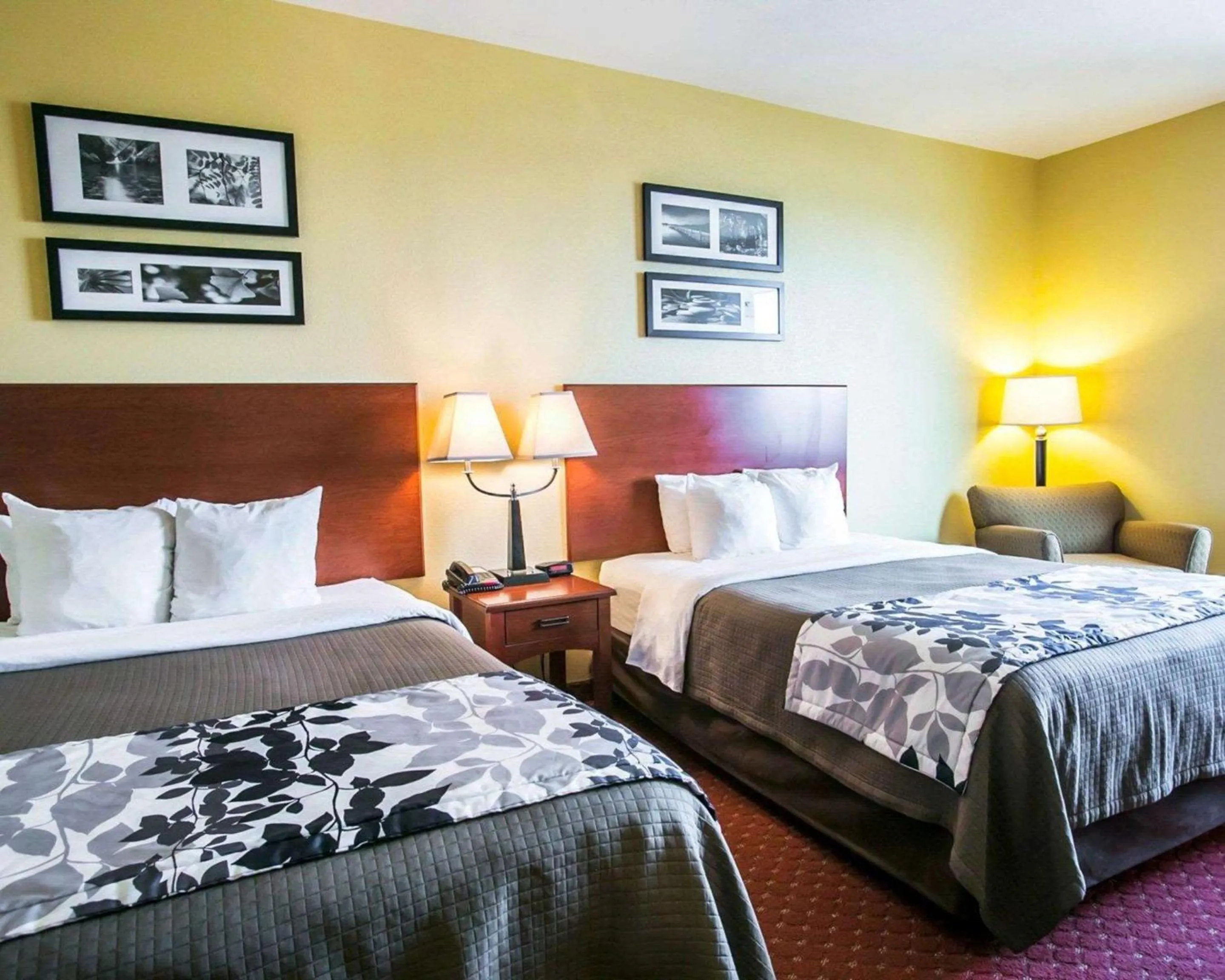Queen Room with Two Queen Beds - Accessible/Non-Smoking  in Sleep Inn & Suites New Braunfels