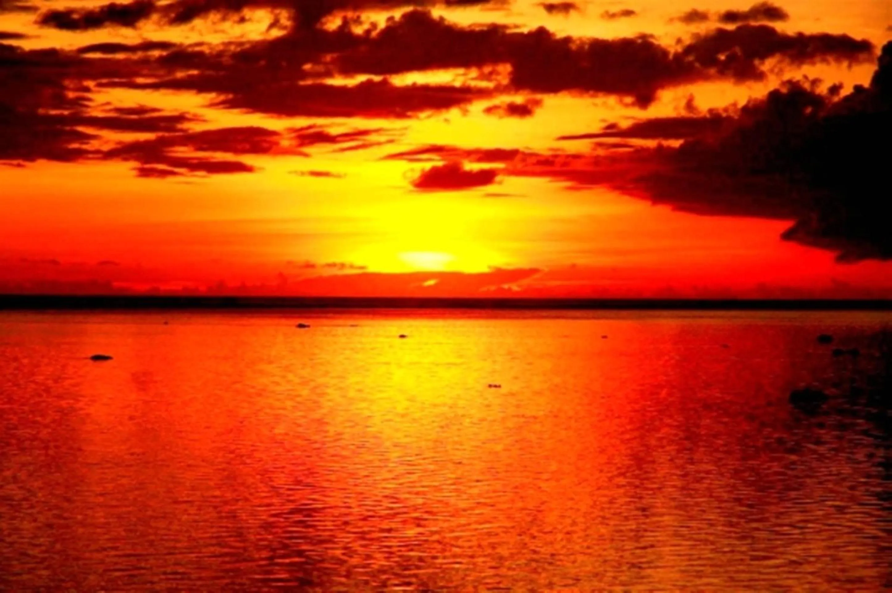 Ocean View Bungalow in Tambua Sands Beach Resort