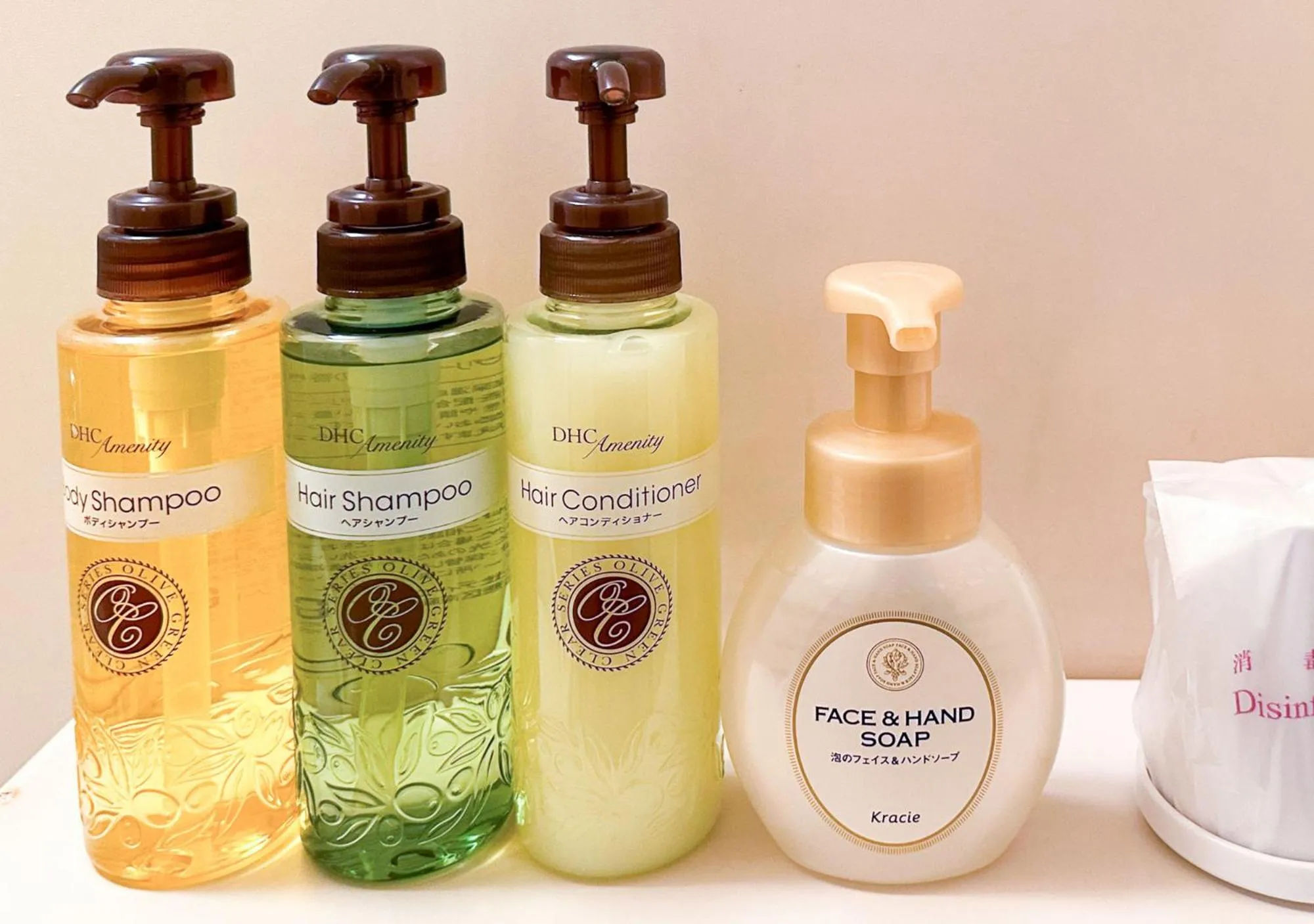 Single Room - single occupancy in Grand Park Hotel Panex Chiba