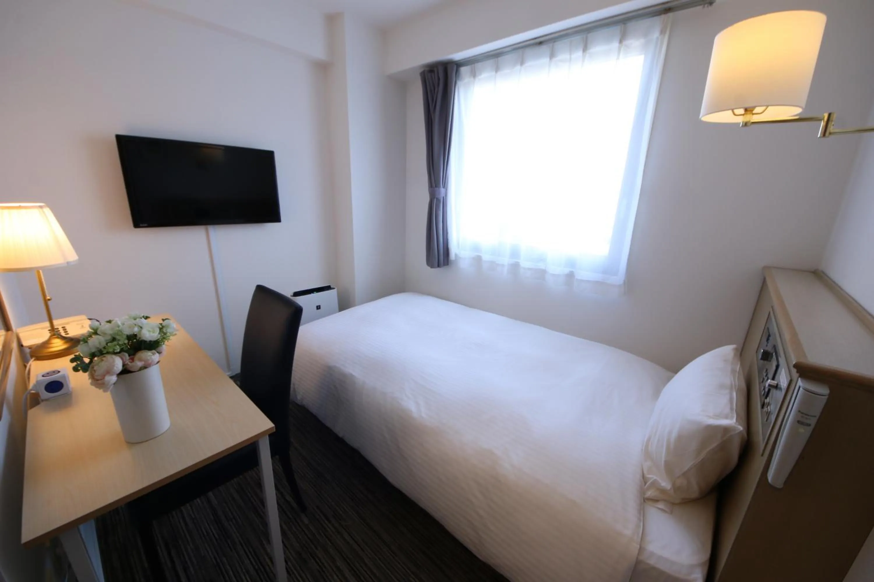 Single Room - single occupancy - Non-Smoking in Grand Park Hotel Panex Chiba