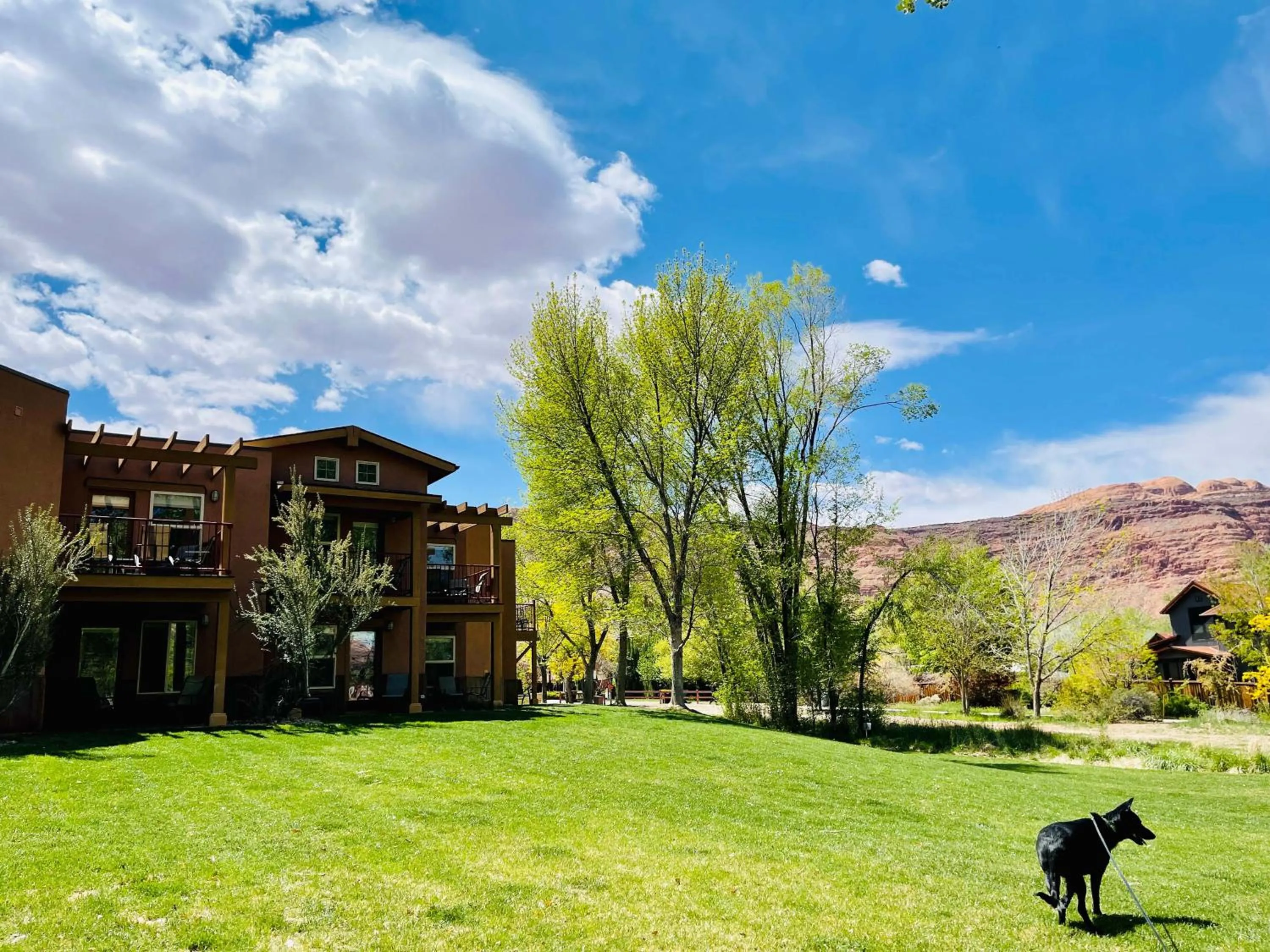 King Room in The Gonzo Inn