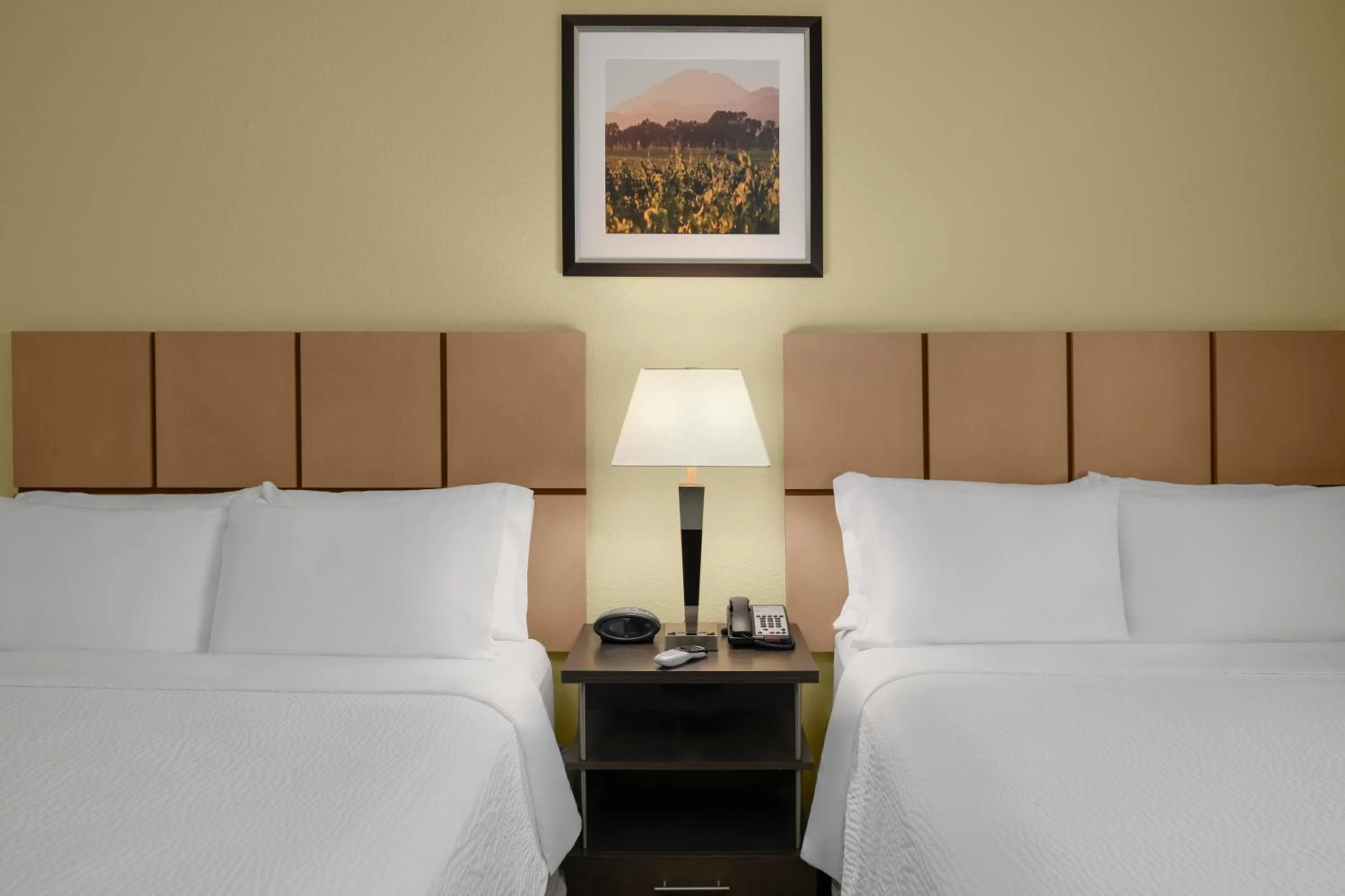Queen Suite with Bath Tub - Disability Access/Non-Smoking in Candlewood Suites Turlock by IHG