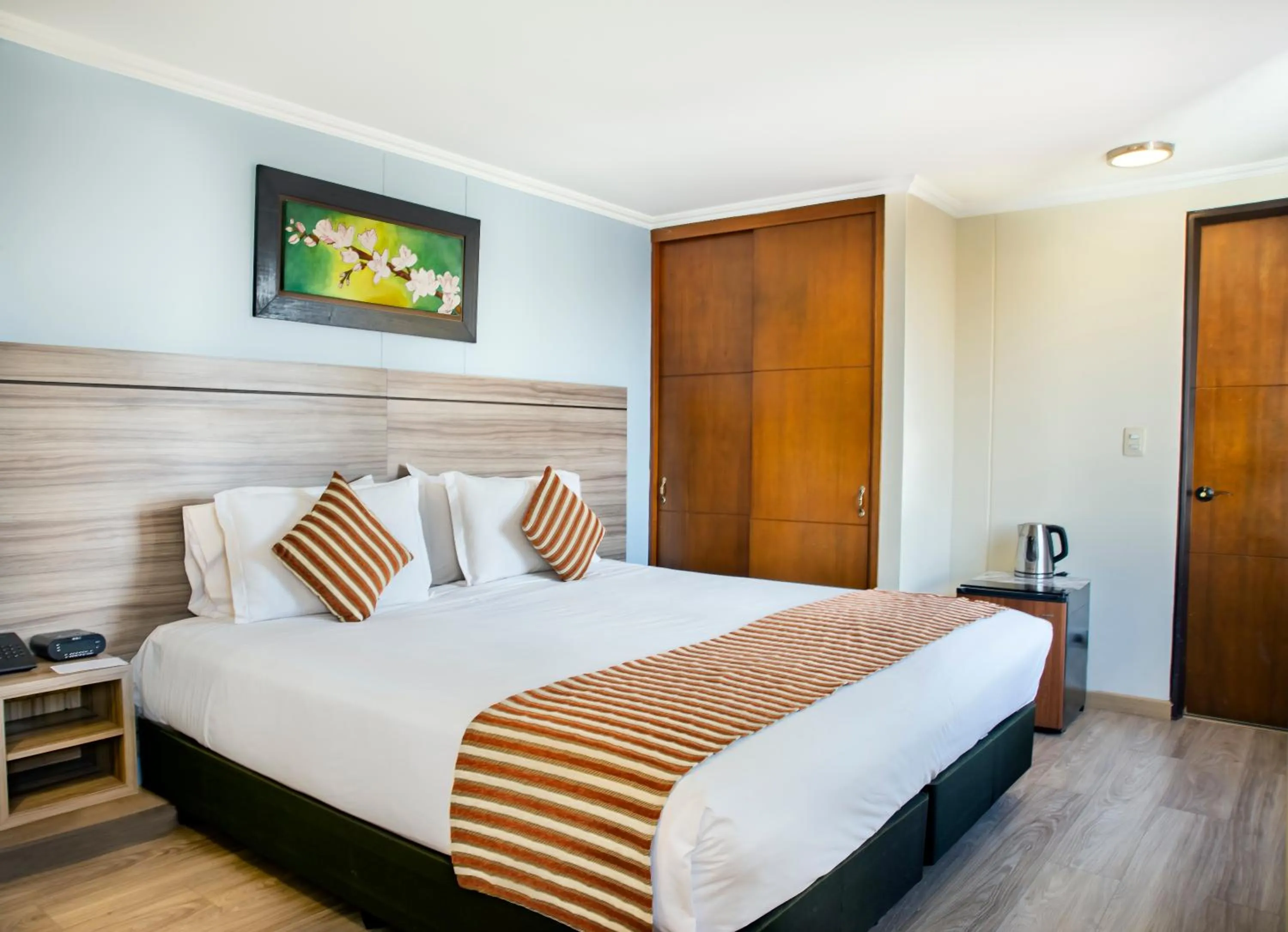 Superior King Room in Hotel San Pablo