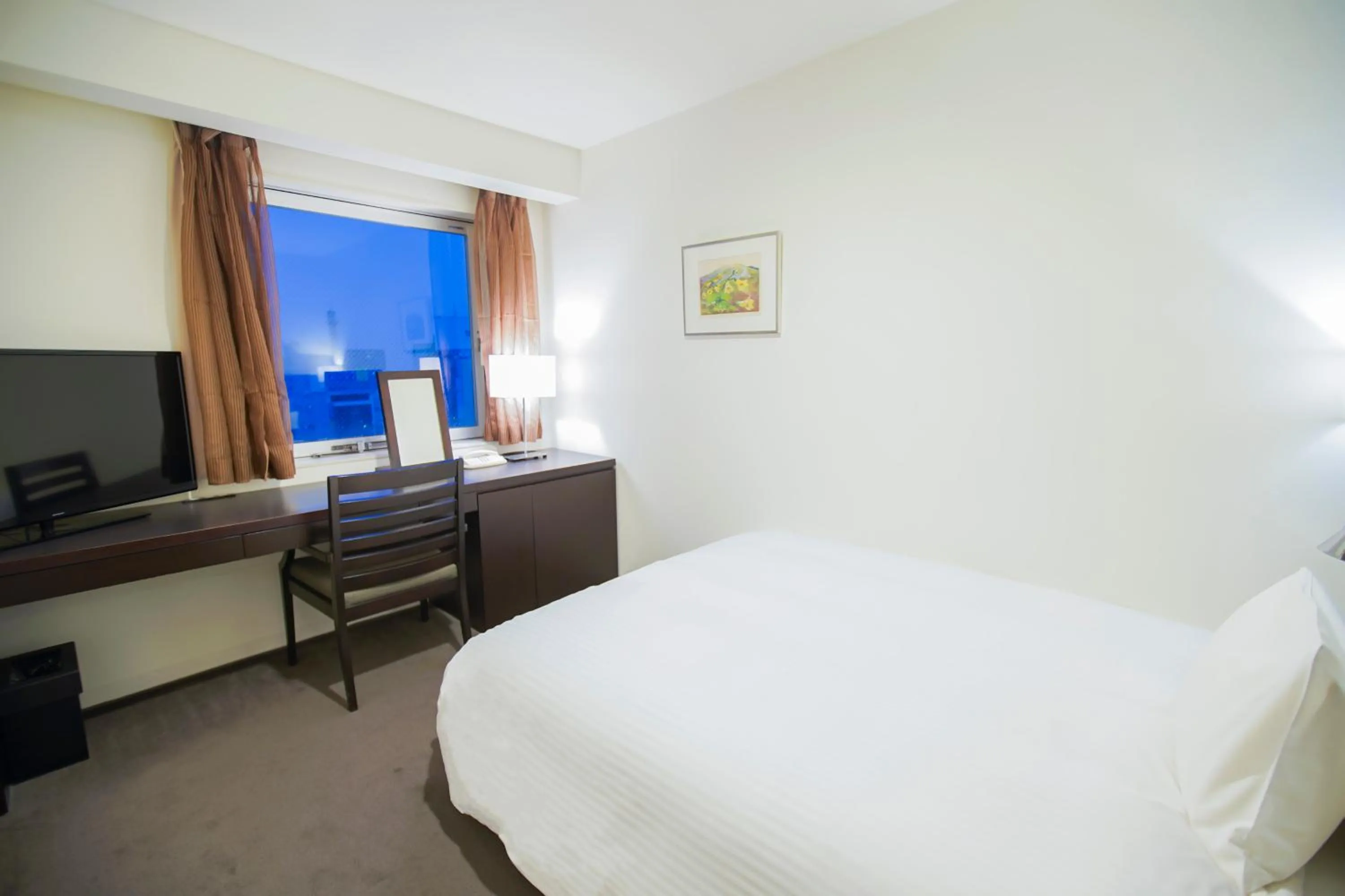 Single Room - single occupancy in Hotel Sunroute Tokushima