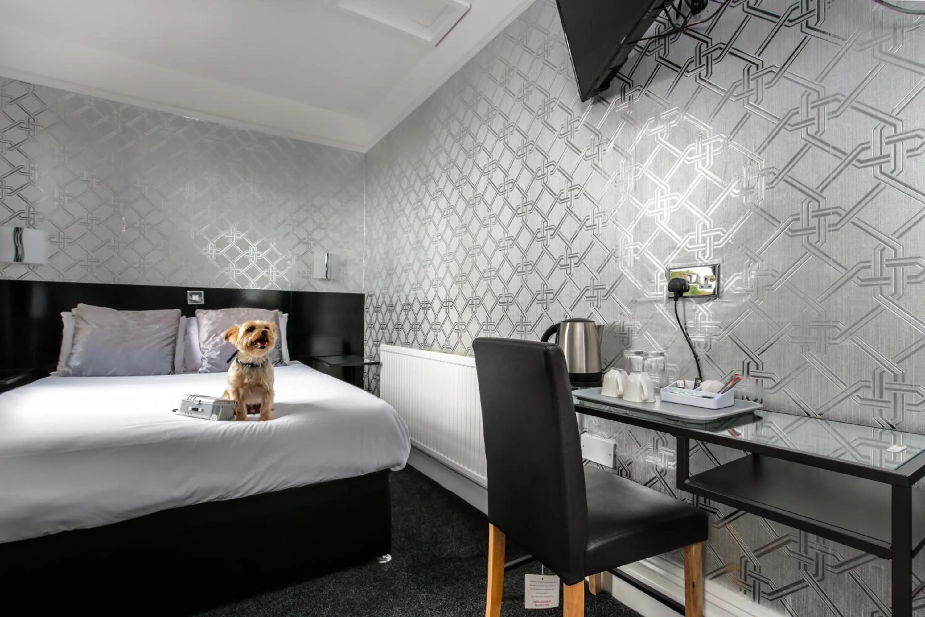 Single Room in Sefton Park Hotel