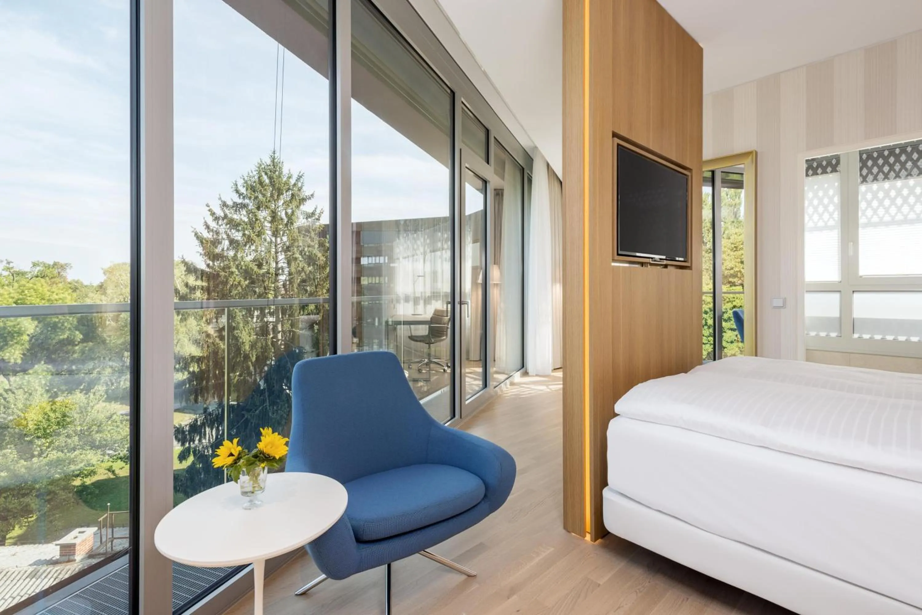 Superior Double Room with View in NH Graz City