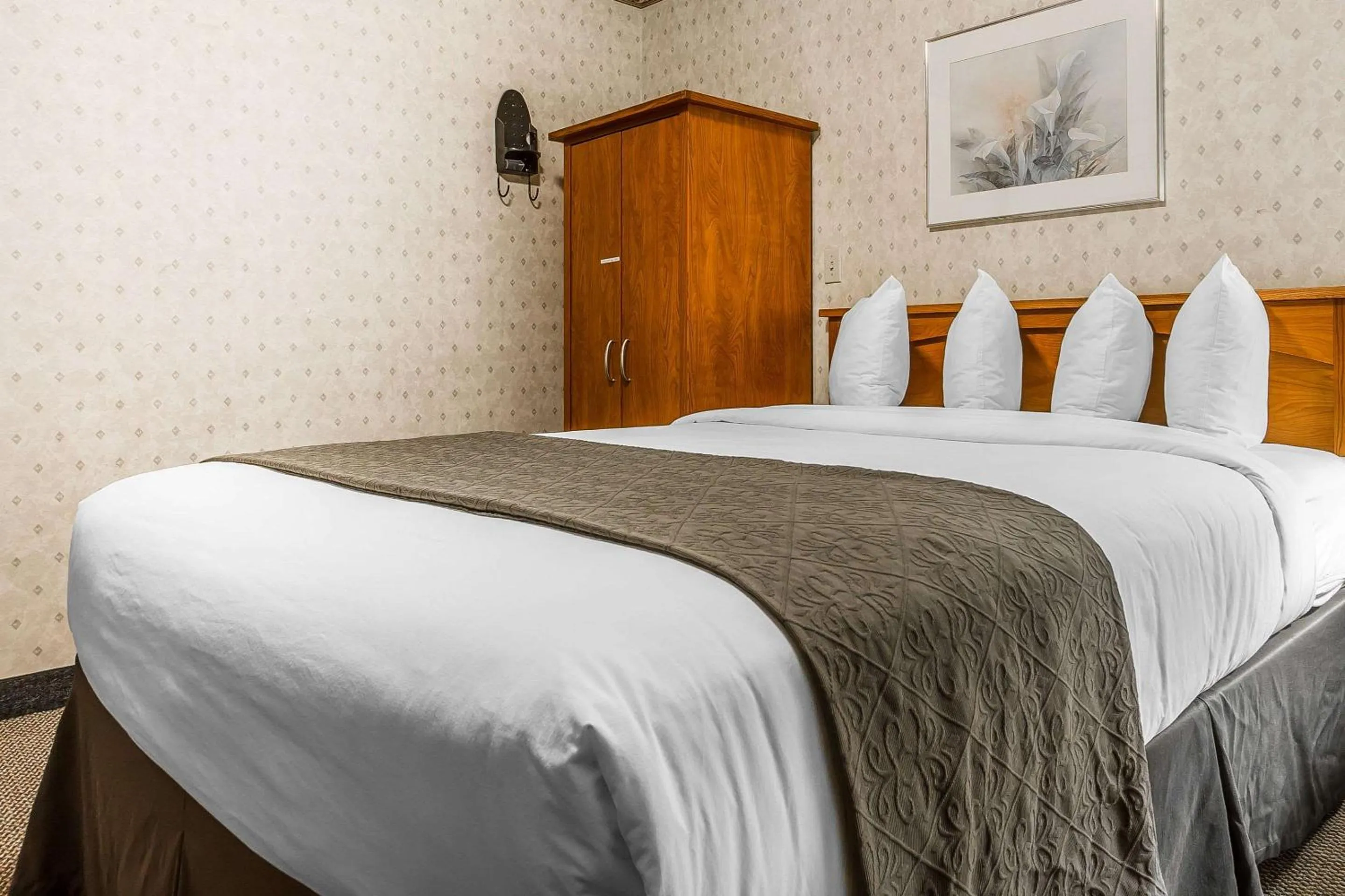 Queen Suite - Disability Access in Quality Inn & Suites Silicon Valley