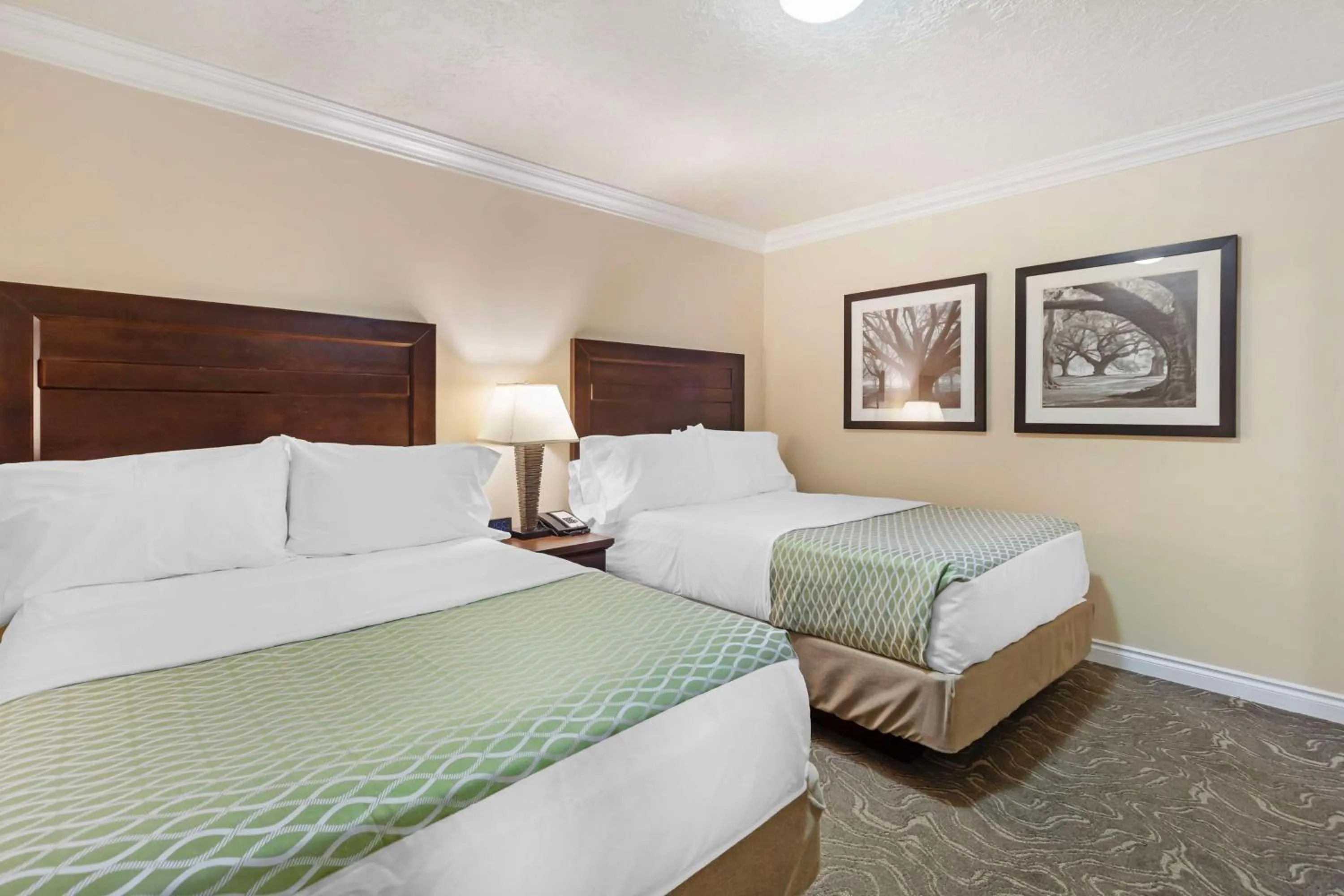 Queen Apartment with One Single Bed in Best Western PLUS Mirage Hotel and Resort