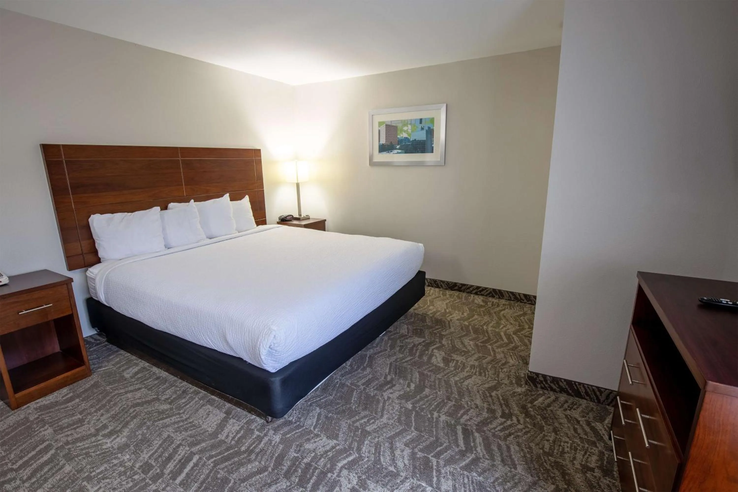 Presidential King Suite in Best Western Plus Lafayette Vermilion River Inn & Suites
