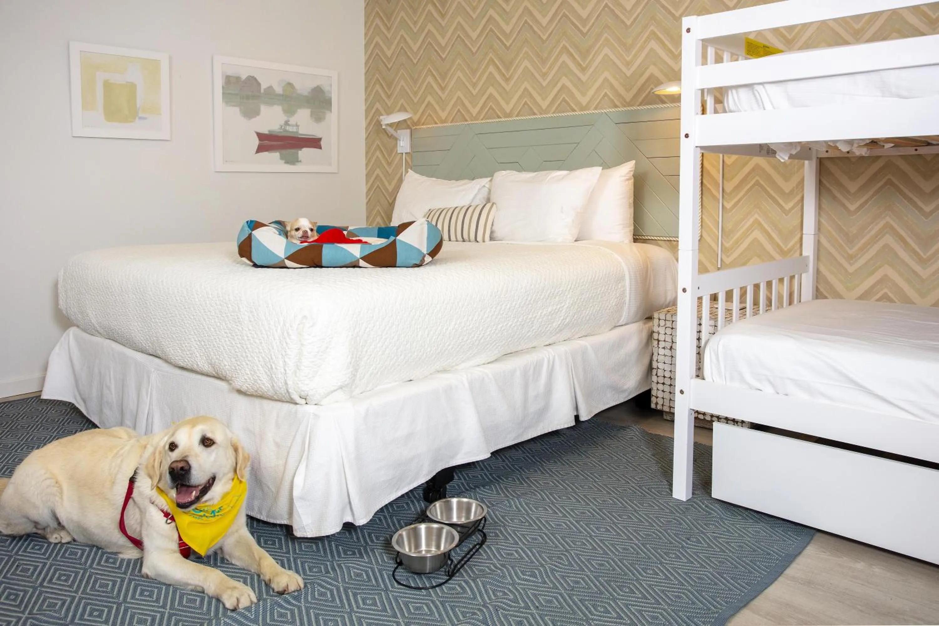 Cove King with Bunk Bed in The Lodge on the Cove