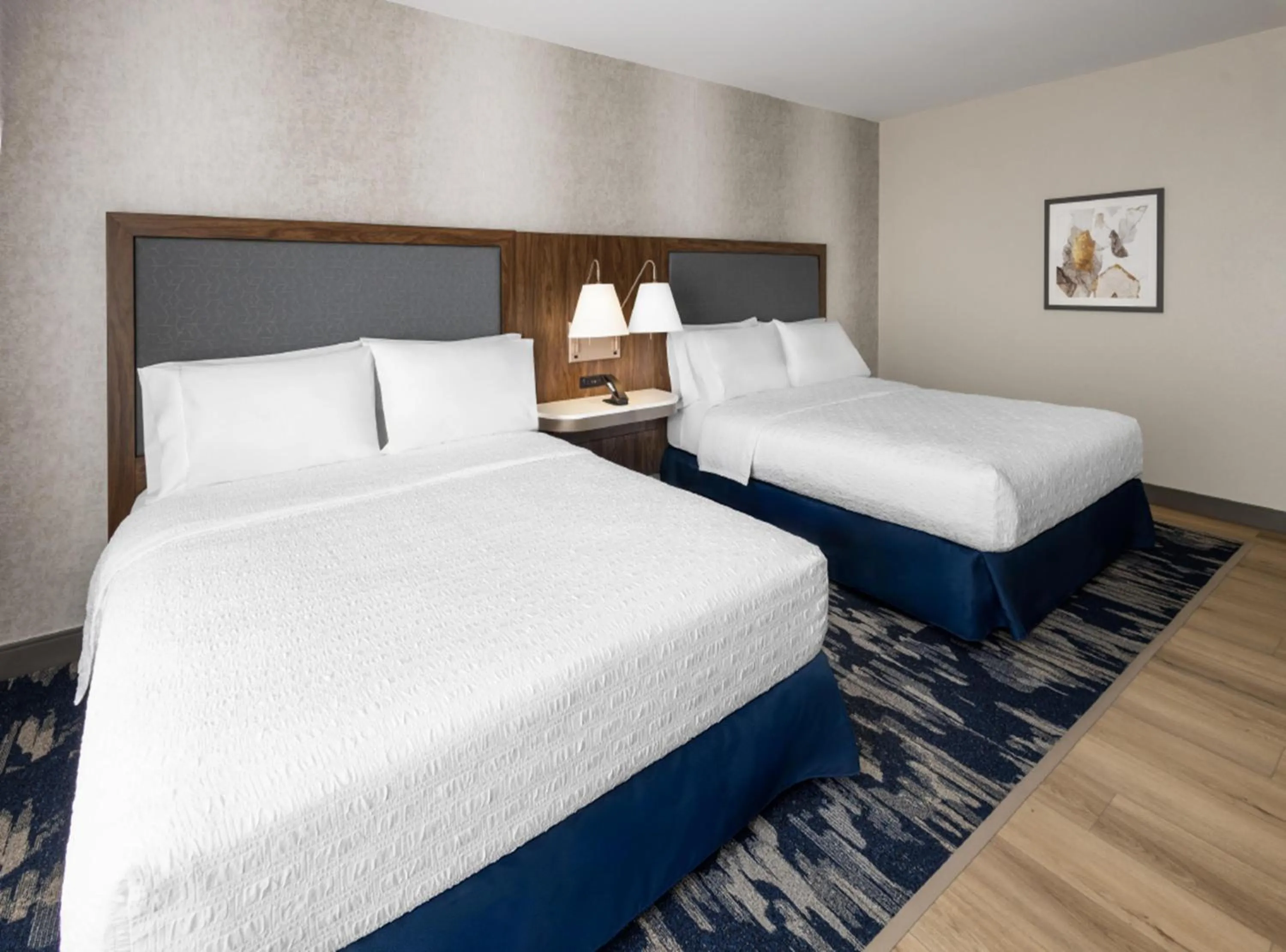 Queen Room with Two Queen Beds - Mobility and Hearing Access/Non-Smoking in Hampton Inn & Suites Richmond Glenside