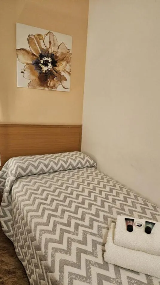 Single Room with Shared Bathroom in Hostal Rio De Castro