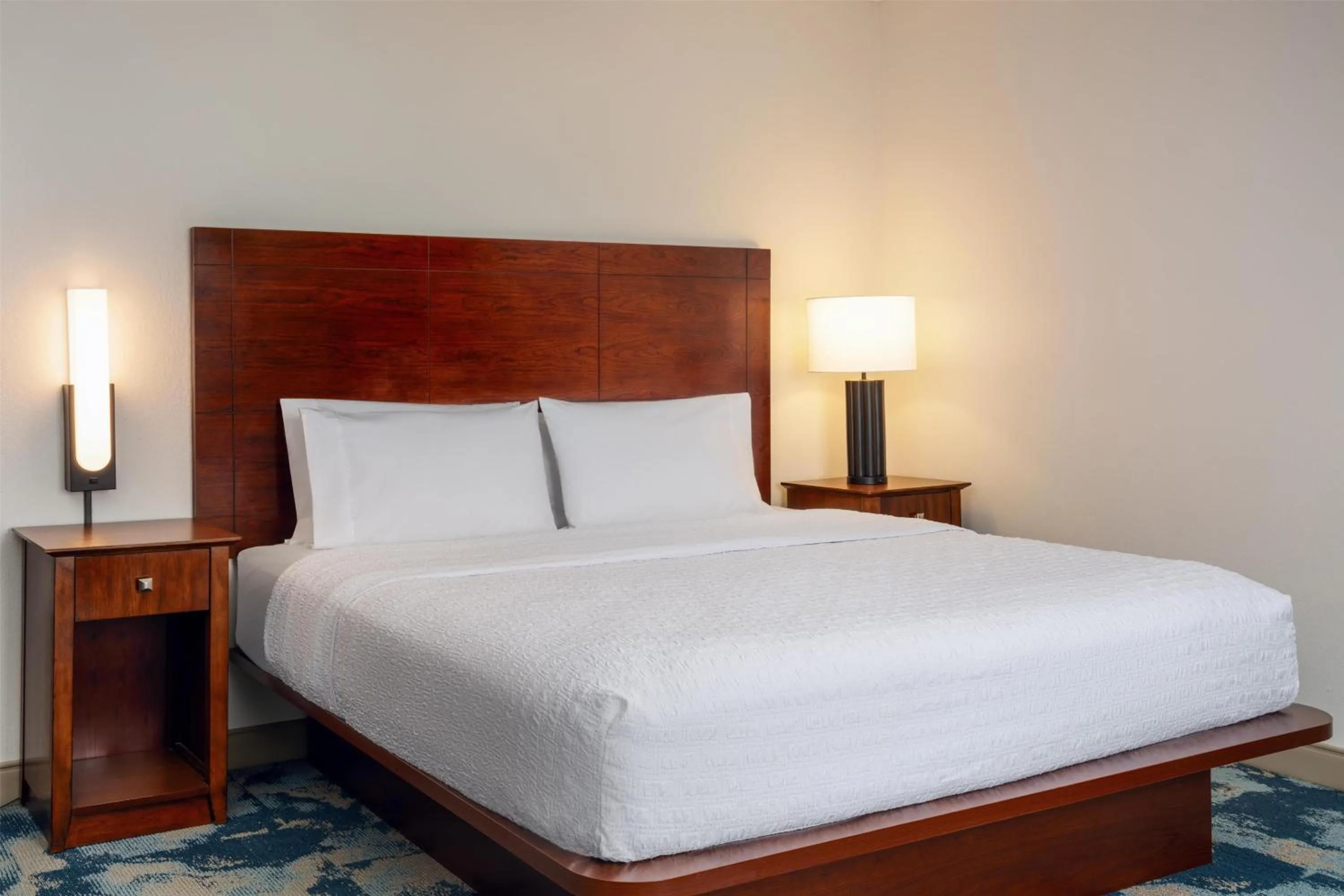 King Room with King Bed - Non-Smoking in Hampton Inn & Suites Knoxville-Turkey Creek Farragut