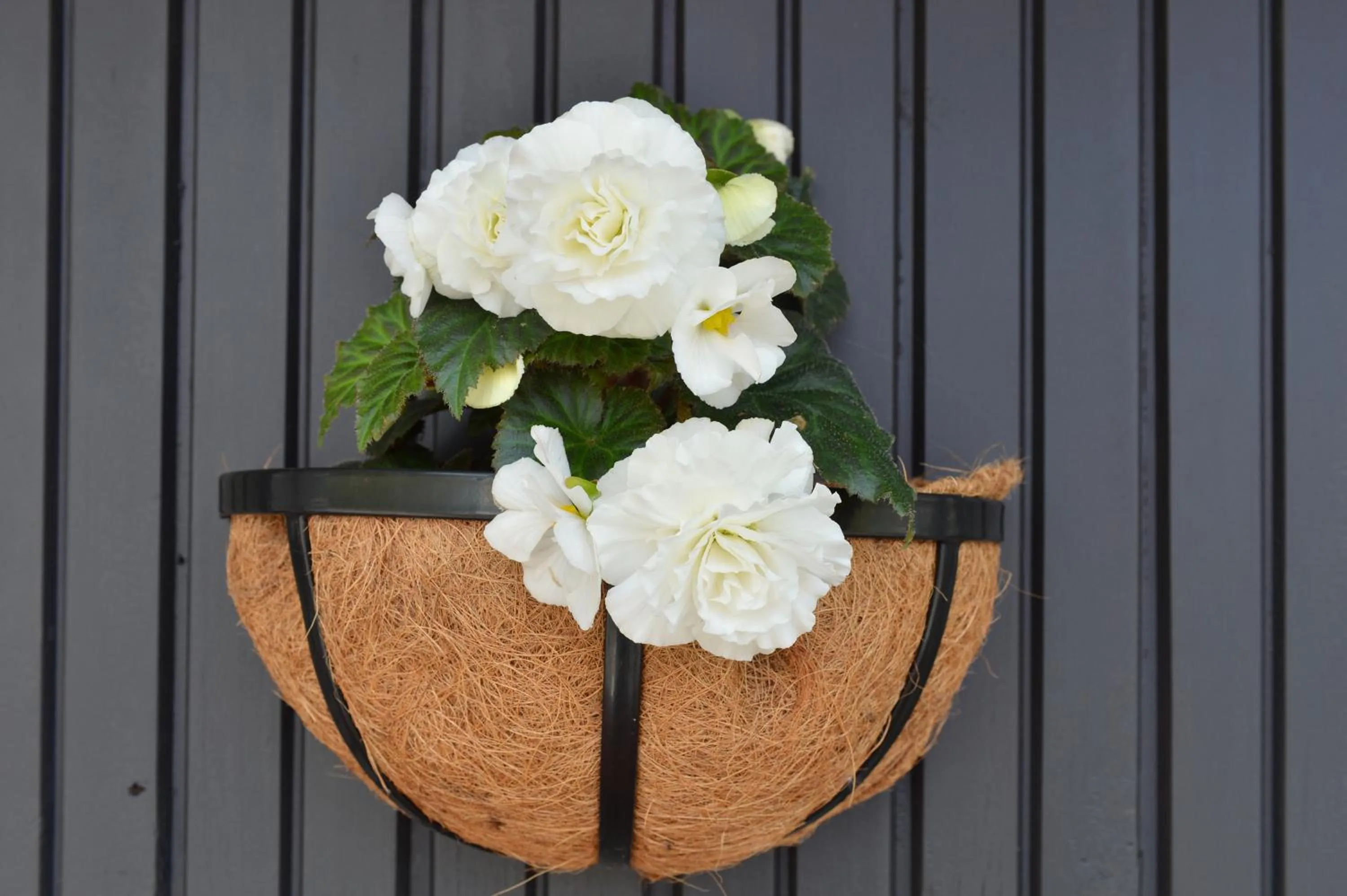 One Bedroom Unit in Edelweiss Motel