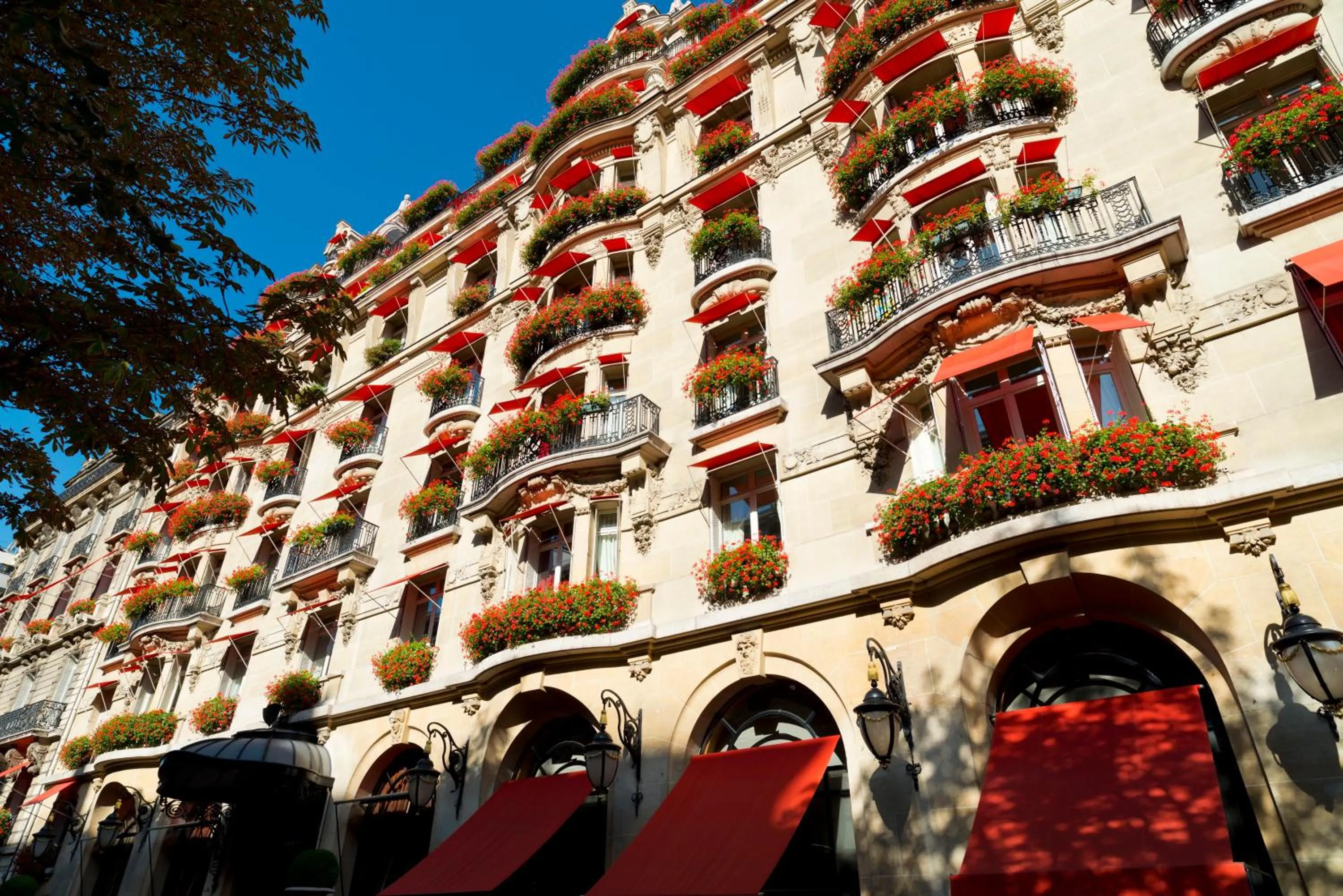 Large Single Room - single occupancy in Hotel Plaza Athenee - Dorchester Collection