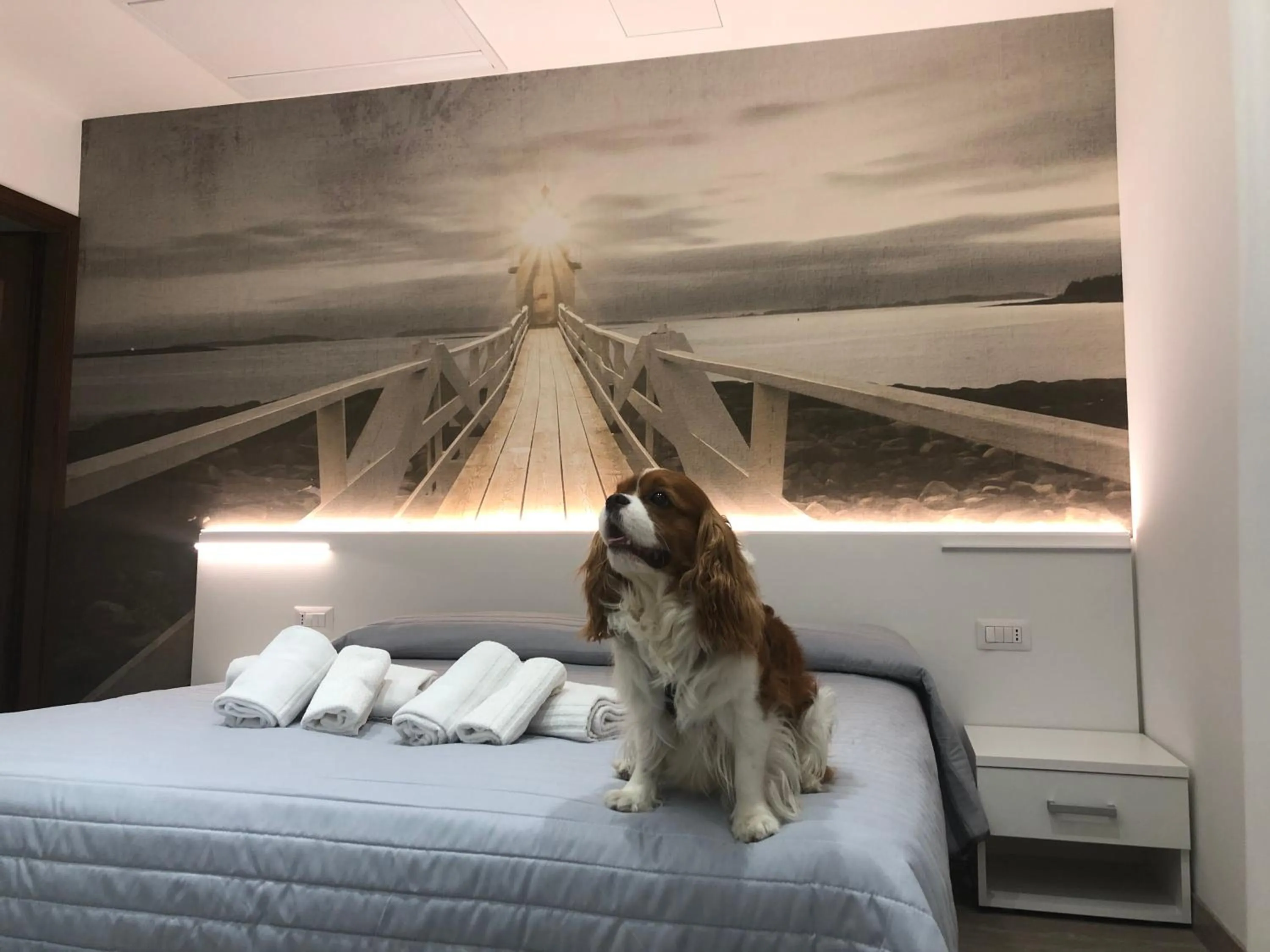 Double or Twin Room - single occupancy in Hotel Ragno D'Oro