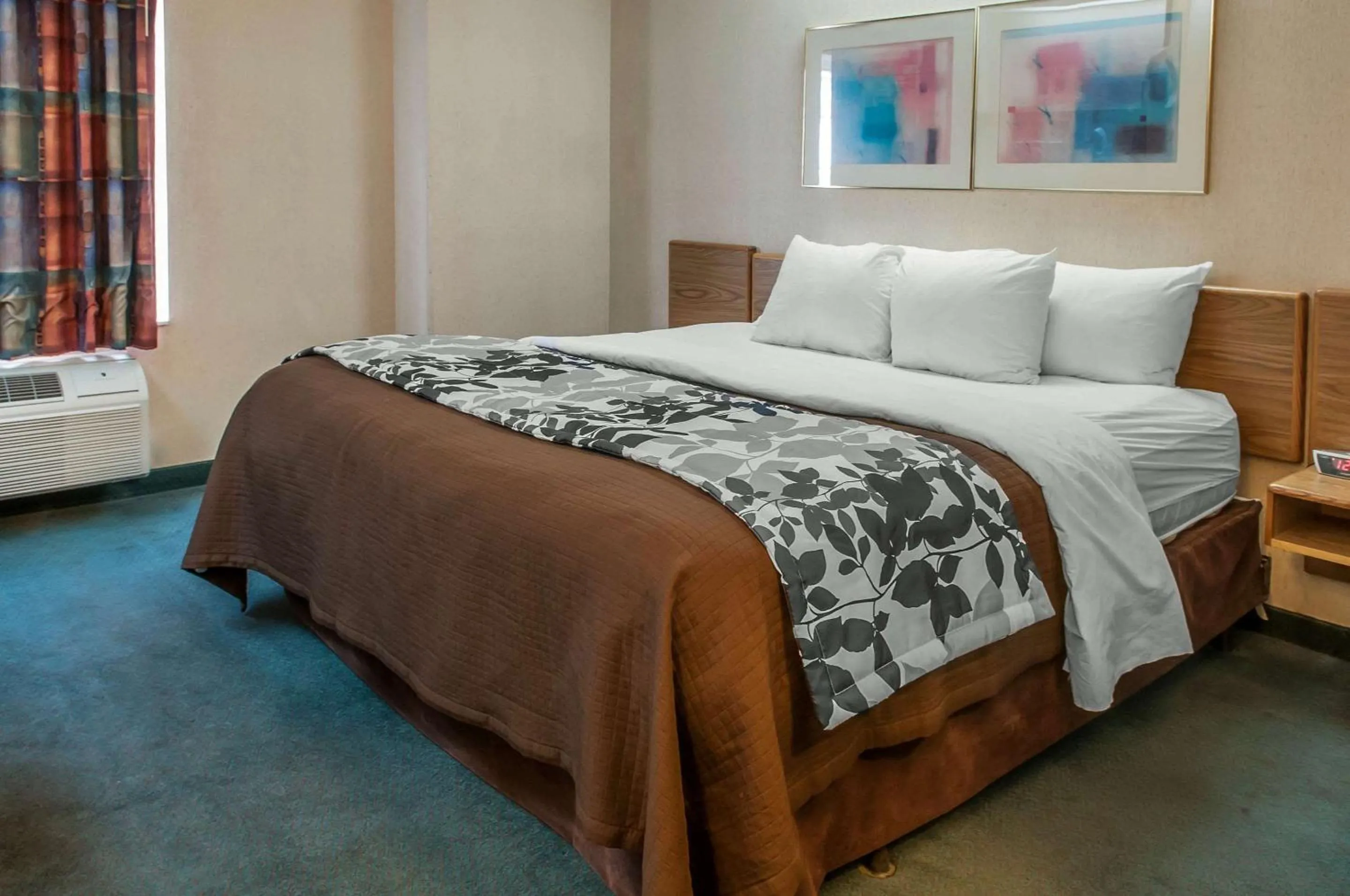 King Room - Disability Access/Non-Smoking in Sleep Inn University