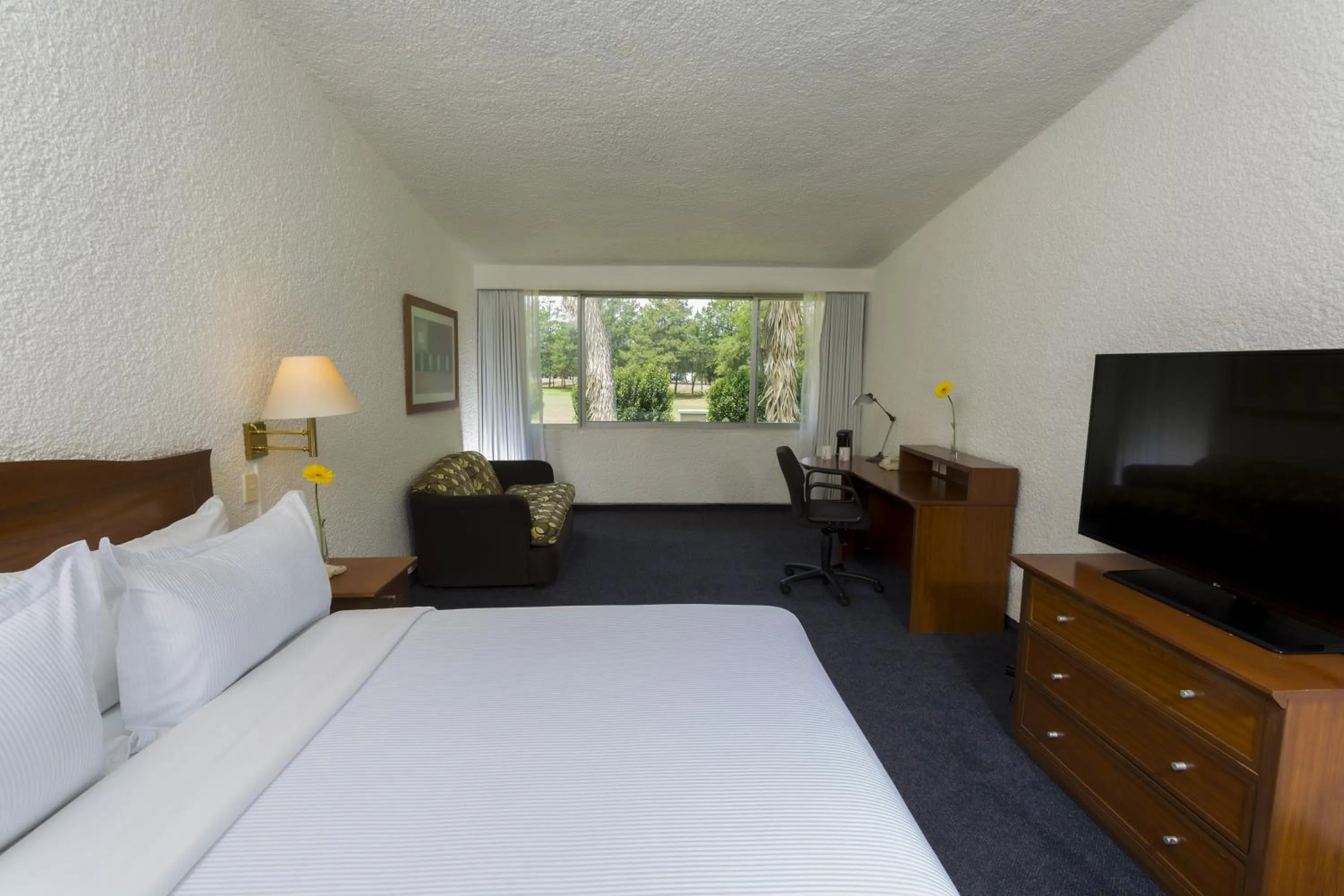 King Room in Gamma Pachuca