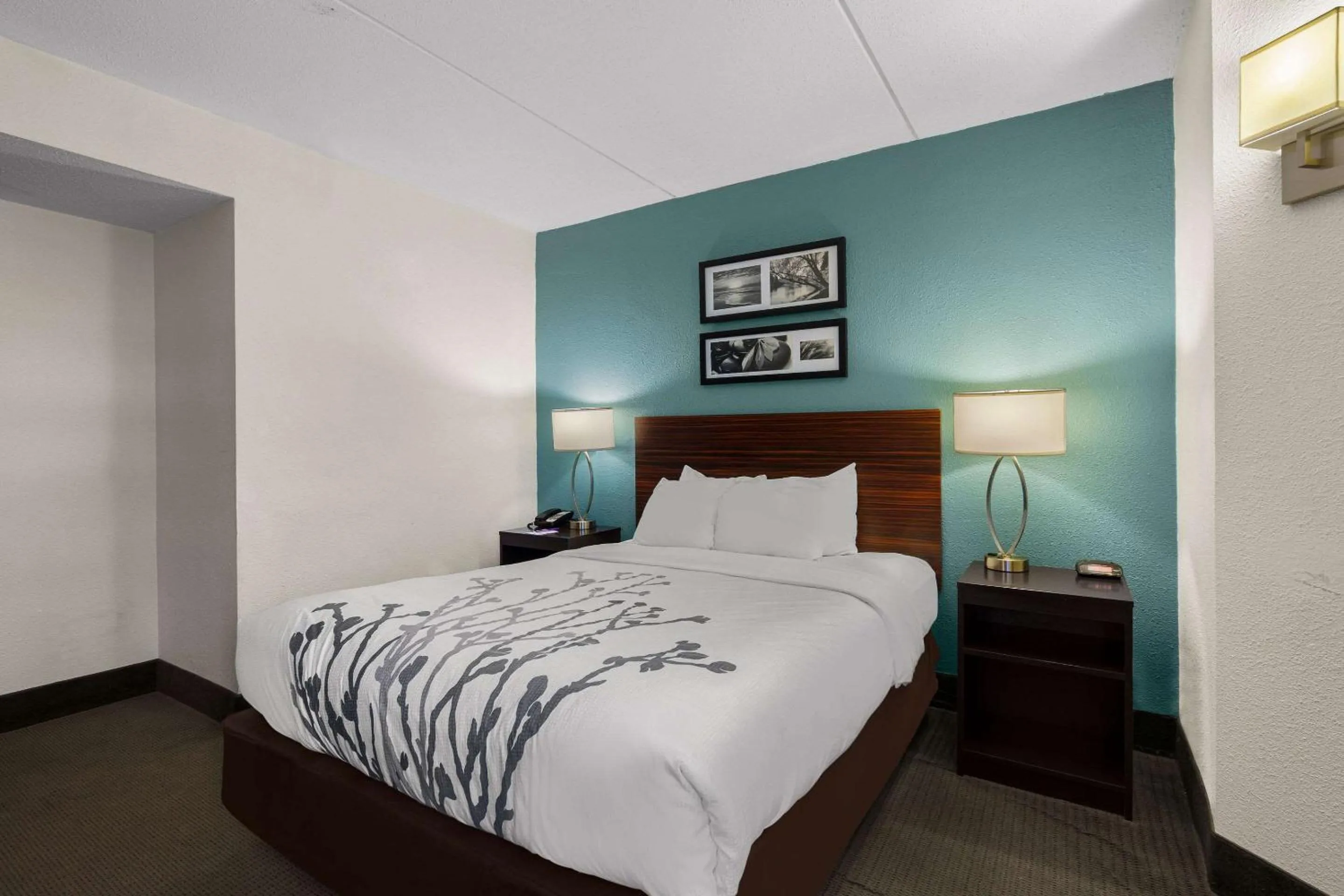 Queen Room - Accessible/Nonsmoking in Sleep Inn Wilmington near University