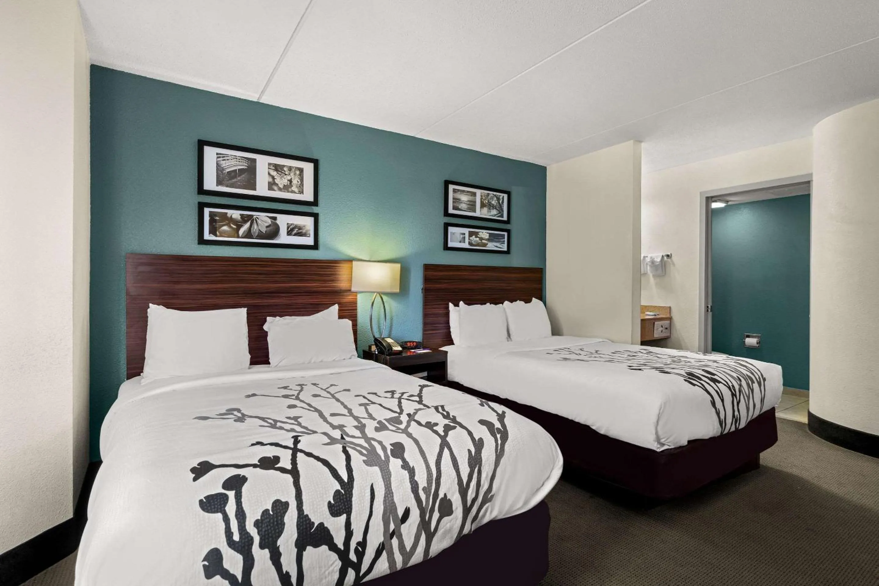 Double Room with Two Double Beds - Non-Smoking in Sleep Inn Wilmington near University