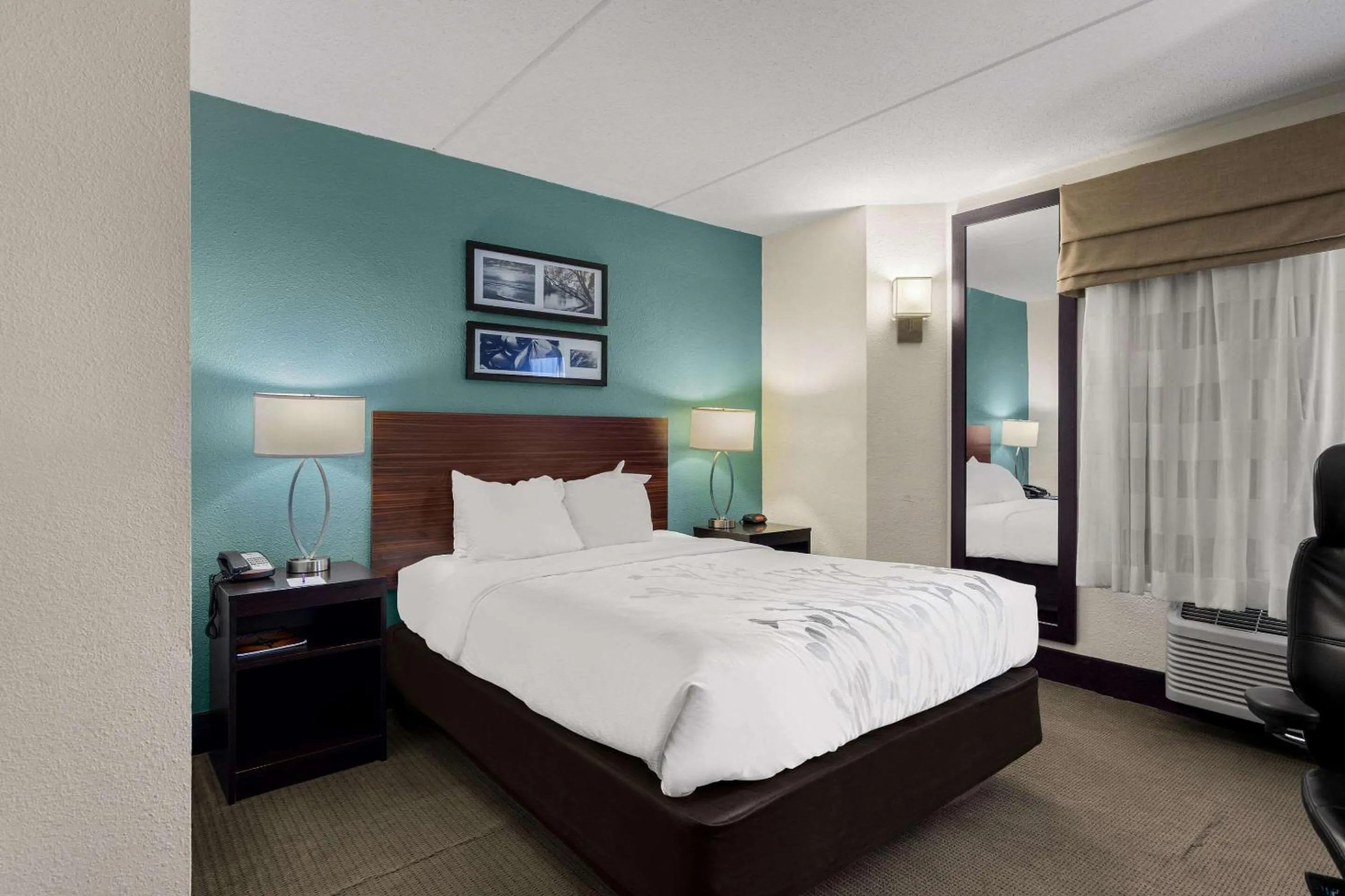 Queen Room - Non-Smoking in Sleep Inn Wilmington near University