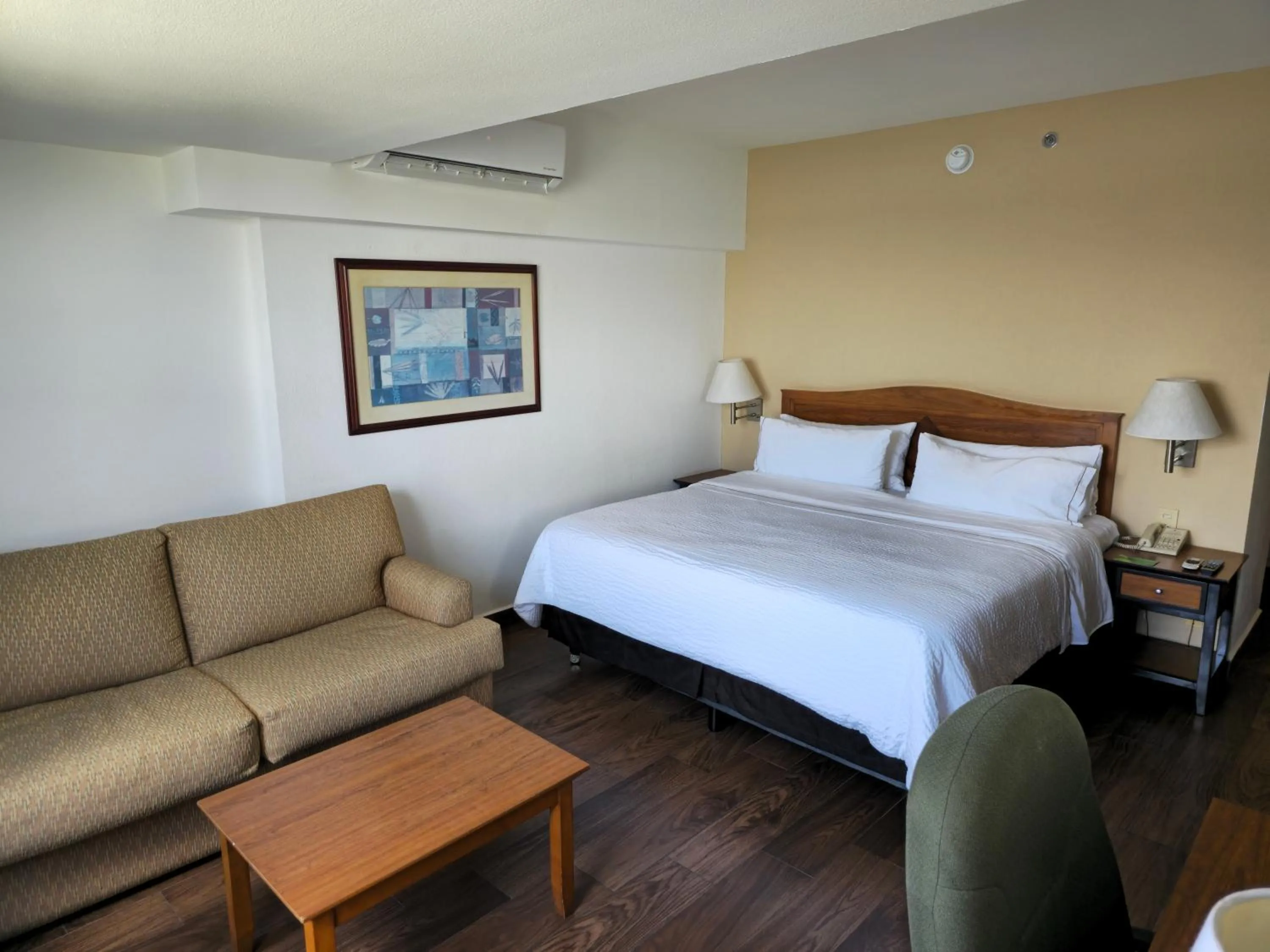 Superior King Room with Lagoon View in Fiesta Inn Tampico