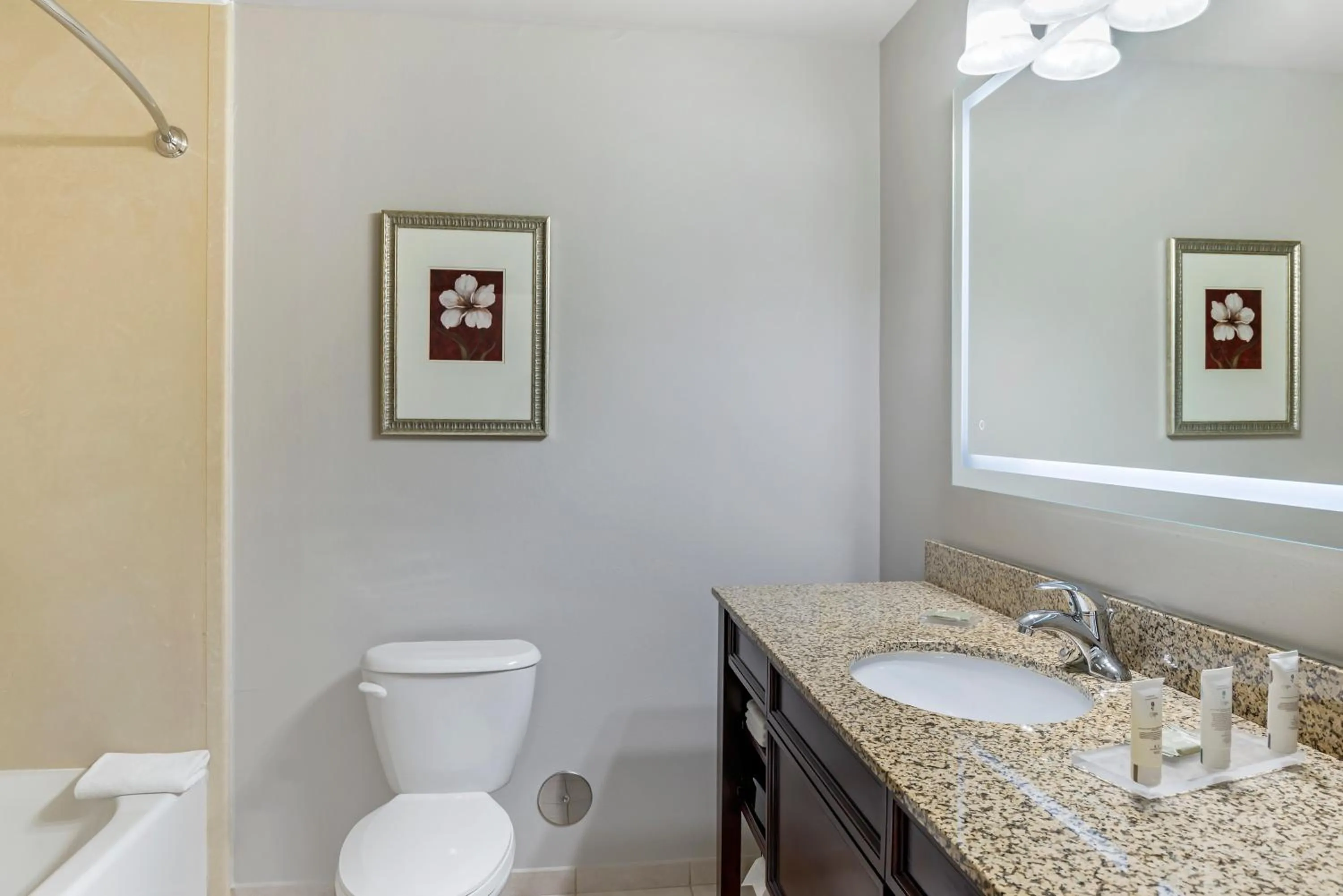 King Studio Suite in Country Inn & Suites by Radisson, Ashland - Hanover, VA