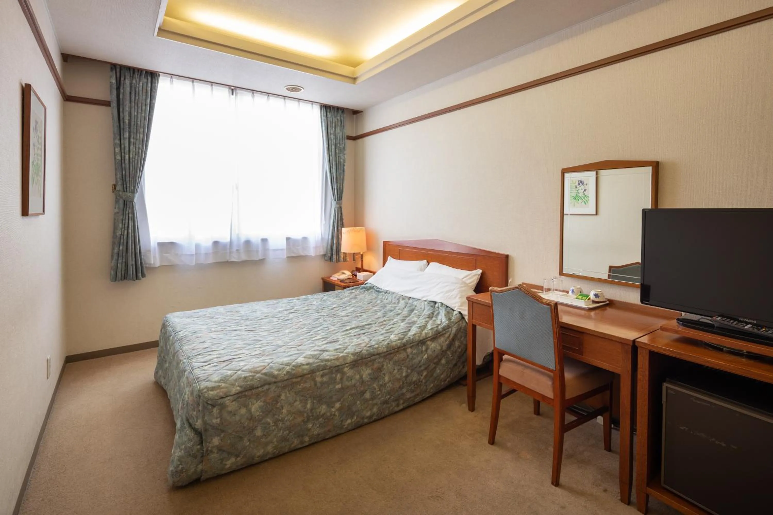 Double Room - single occupancy - Non-Smoking  in Hotel Danrokan