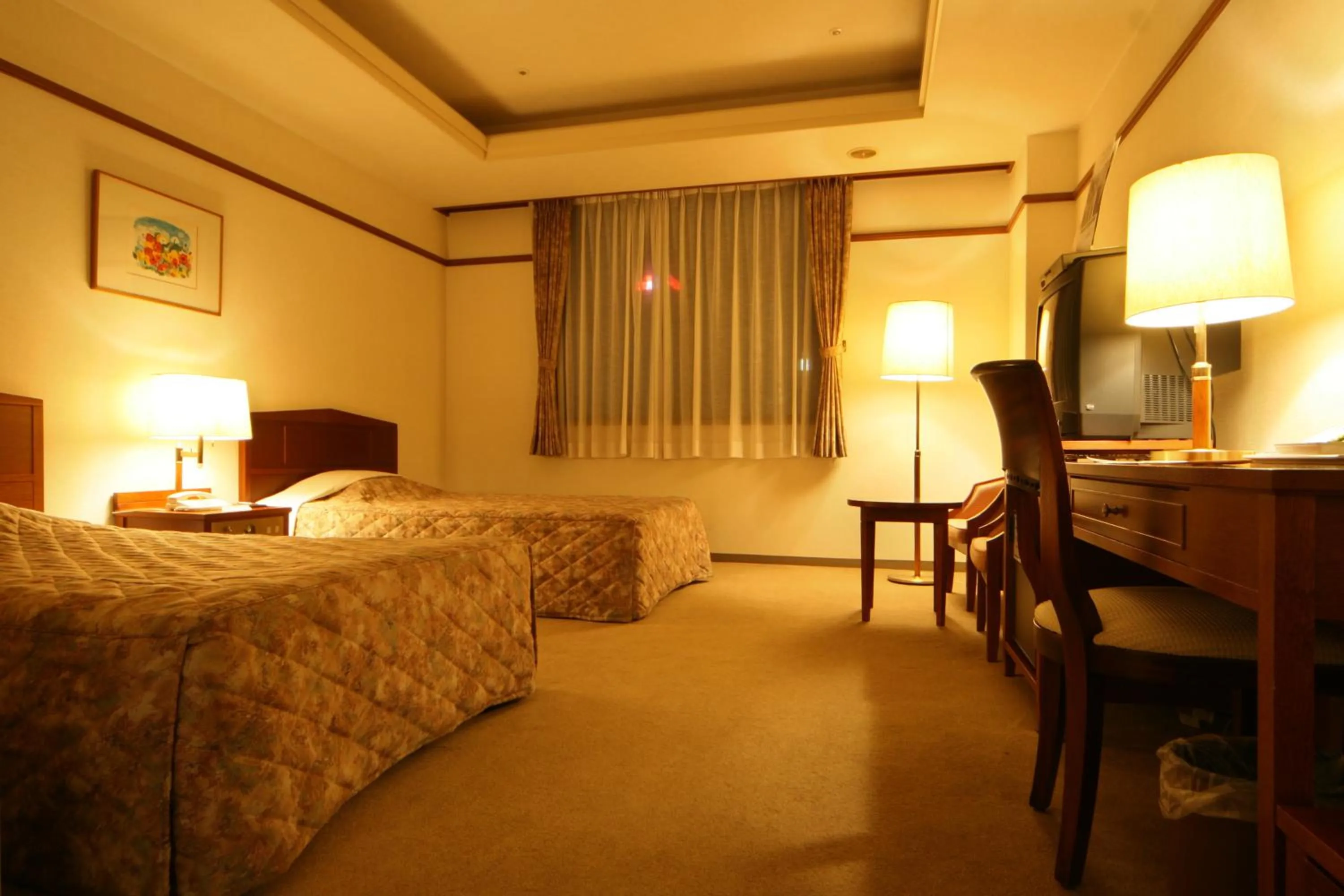 Twin Room - single occupancy - Non-Smoking in Hotel Danrokan