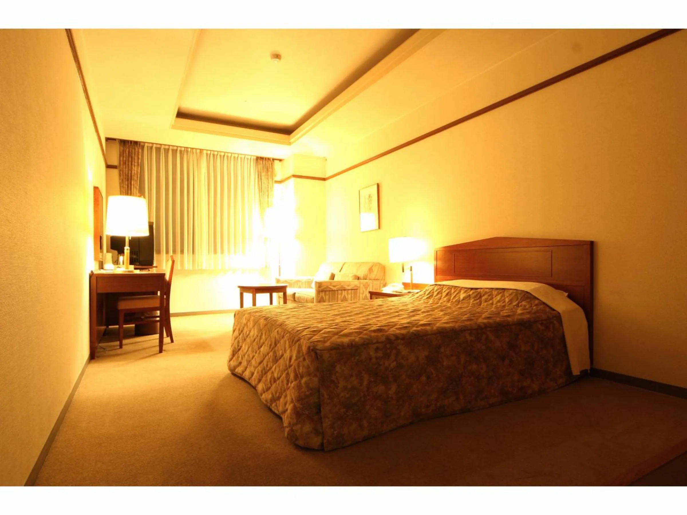 Deluxe Double Room - single occupancy - Non-Smoking in Hotel Danrokan