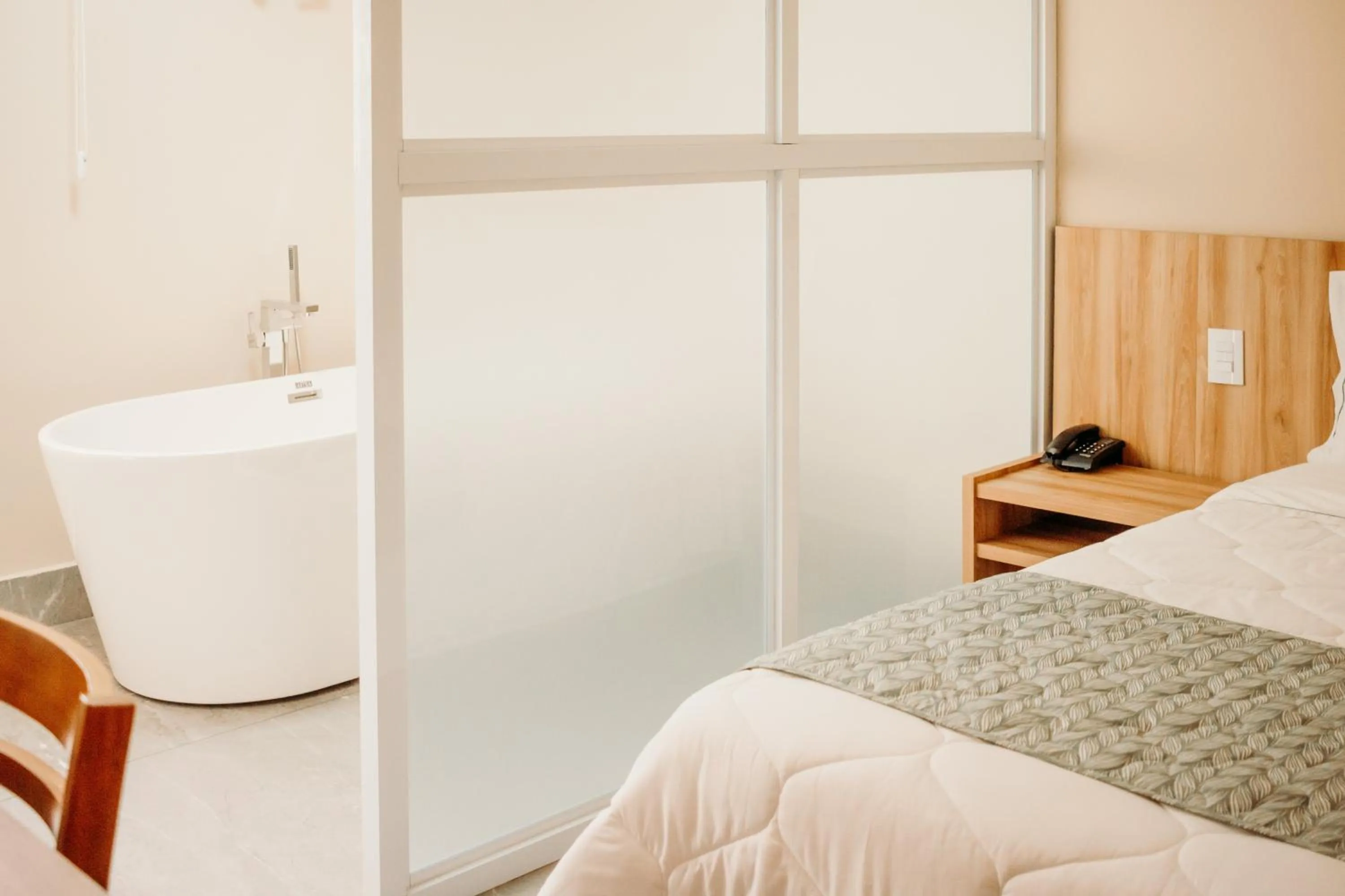 Executive Suite - single occupancy in Hotel Dona Beja