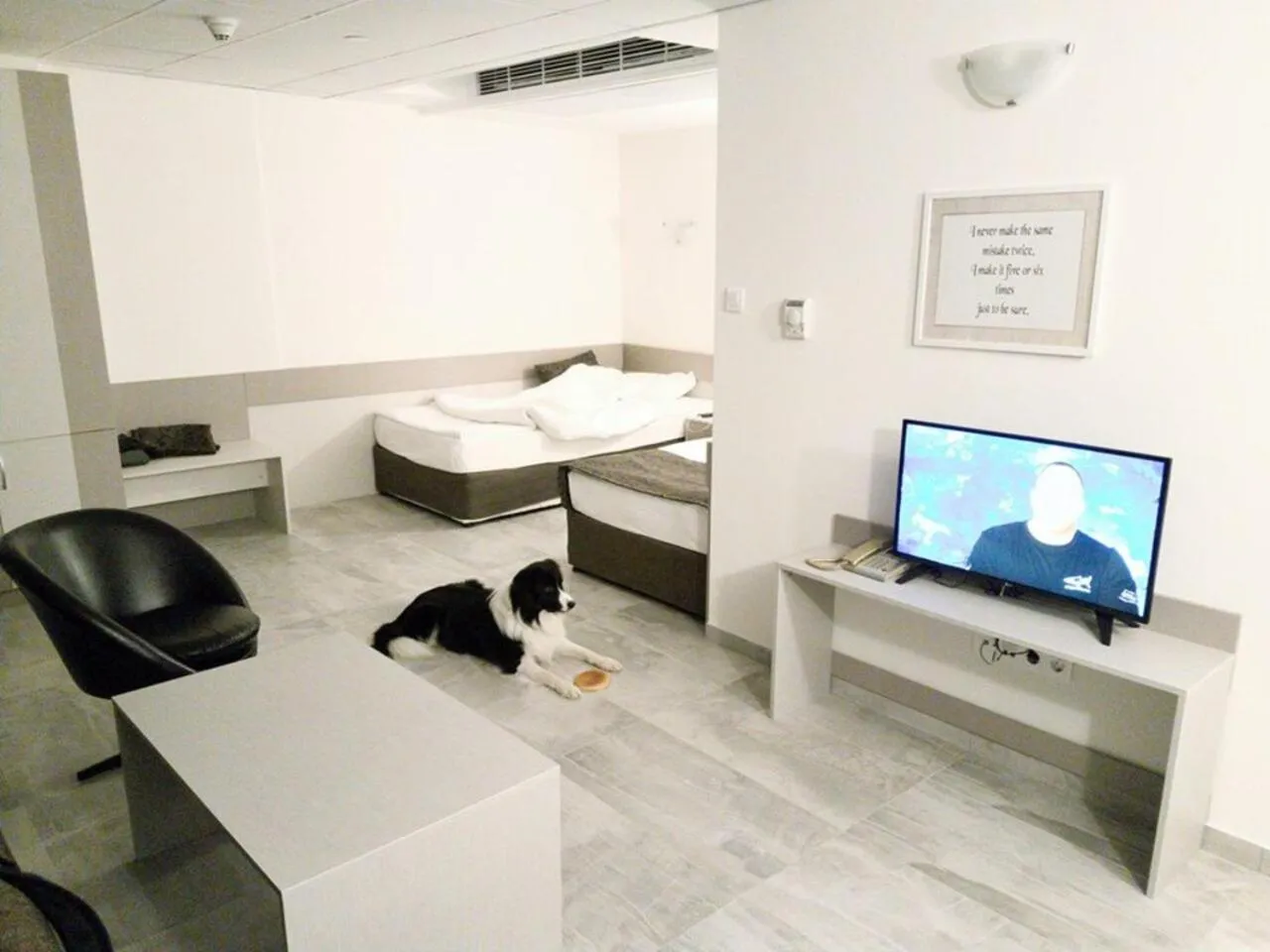 Junior Suite - Pet Friendly  in Park Hotel Moskva