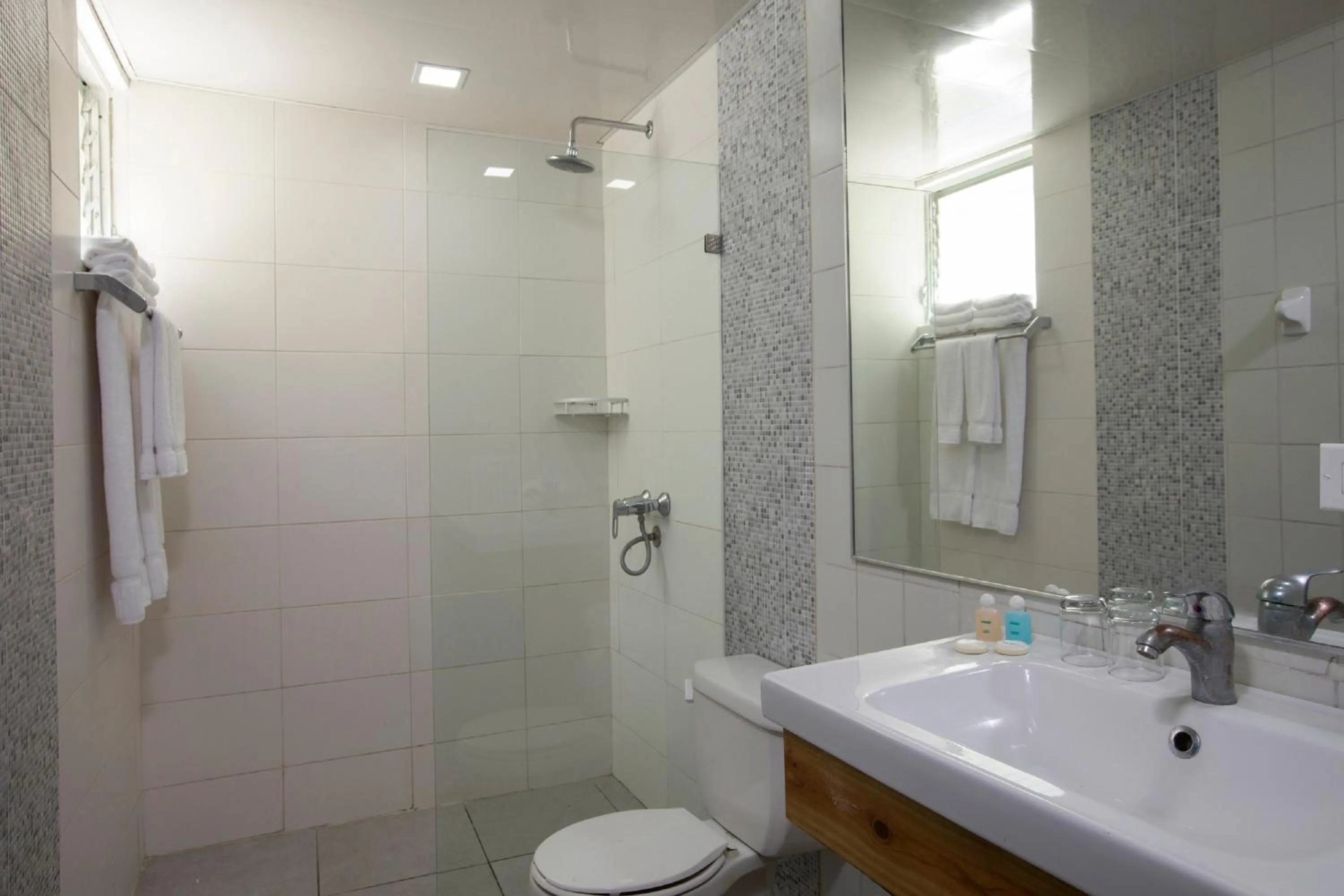 Double Economy in Hotel whala!boca chica - All Inclusive