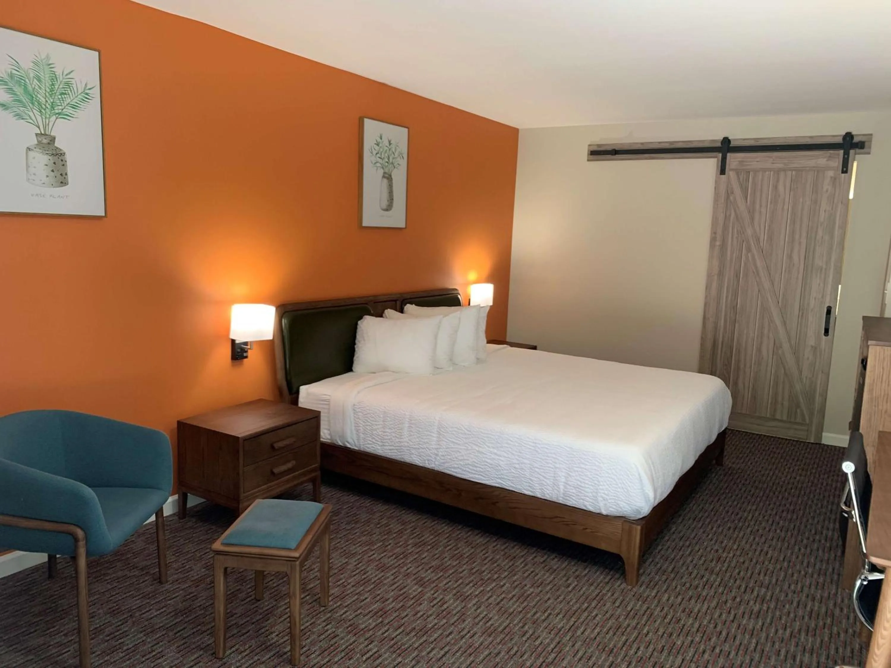 King Room - Pet Friendly in Urban Boutique Hotel; BW Signature Collection