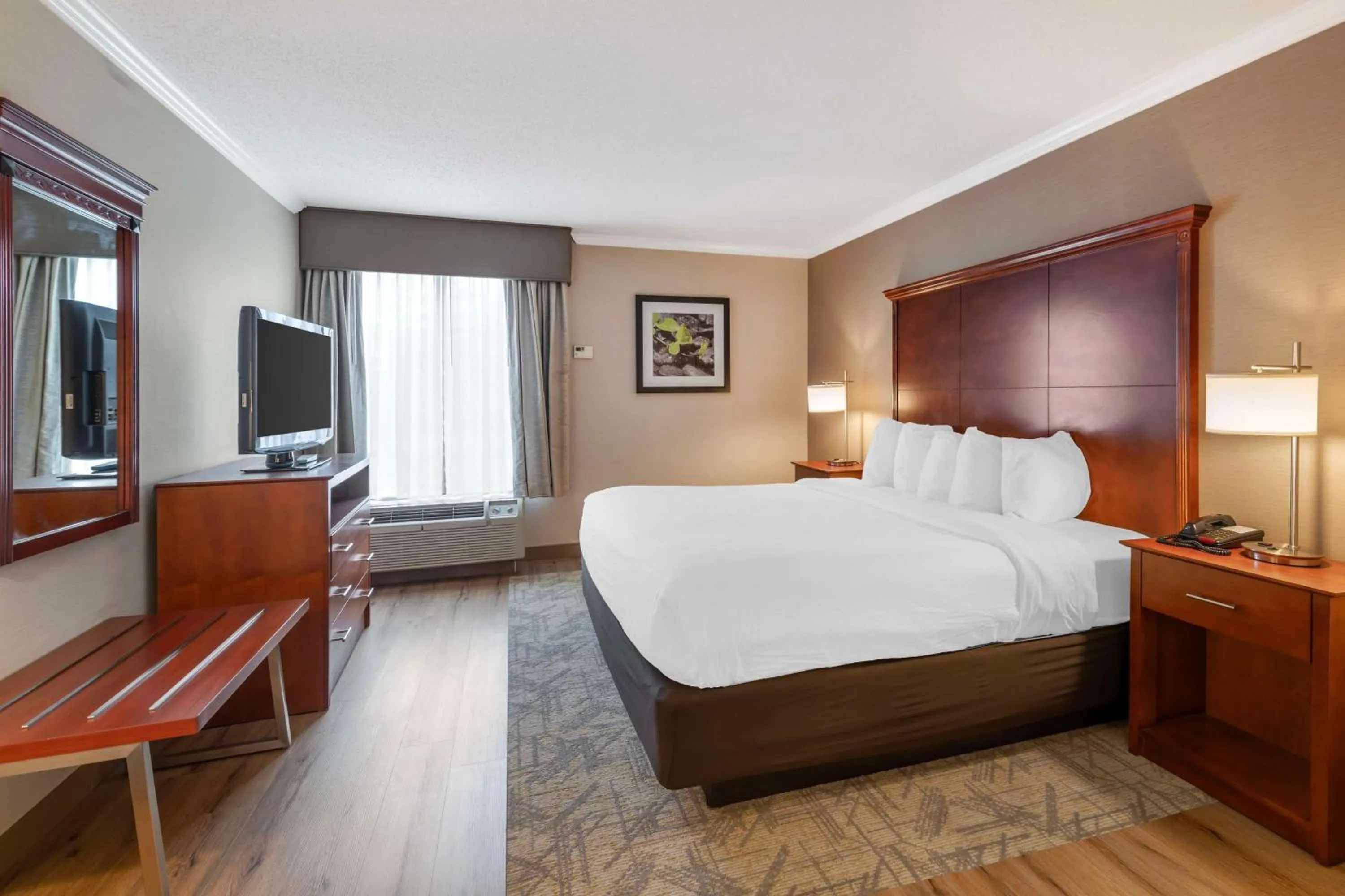 King Room - Non-Smoking in Best Western Liverpool-Syracuse Inn & Suites