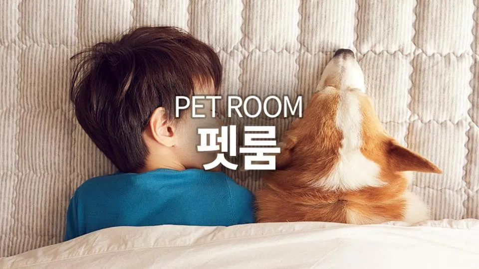 [Pet Room] Villa Duplex Suite in Pyeongchang The White Hotel