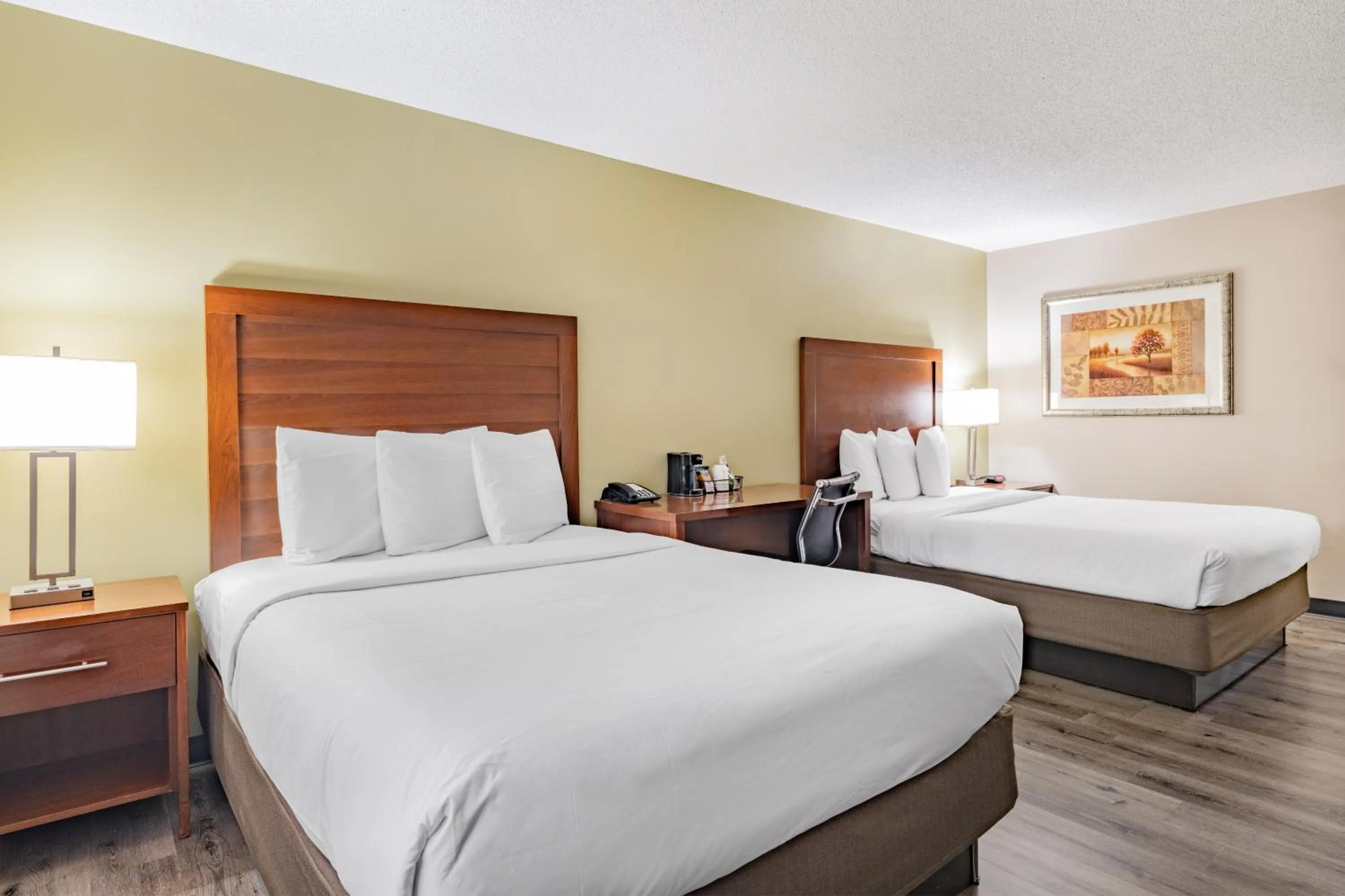 Queen Room - Disability Access/Non-Smoking in Baymont by Wyndham Gurnee