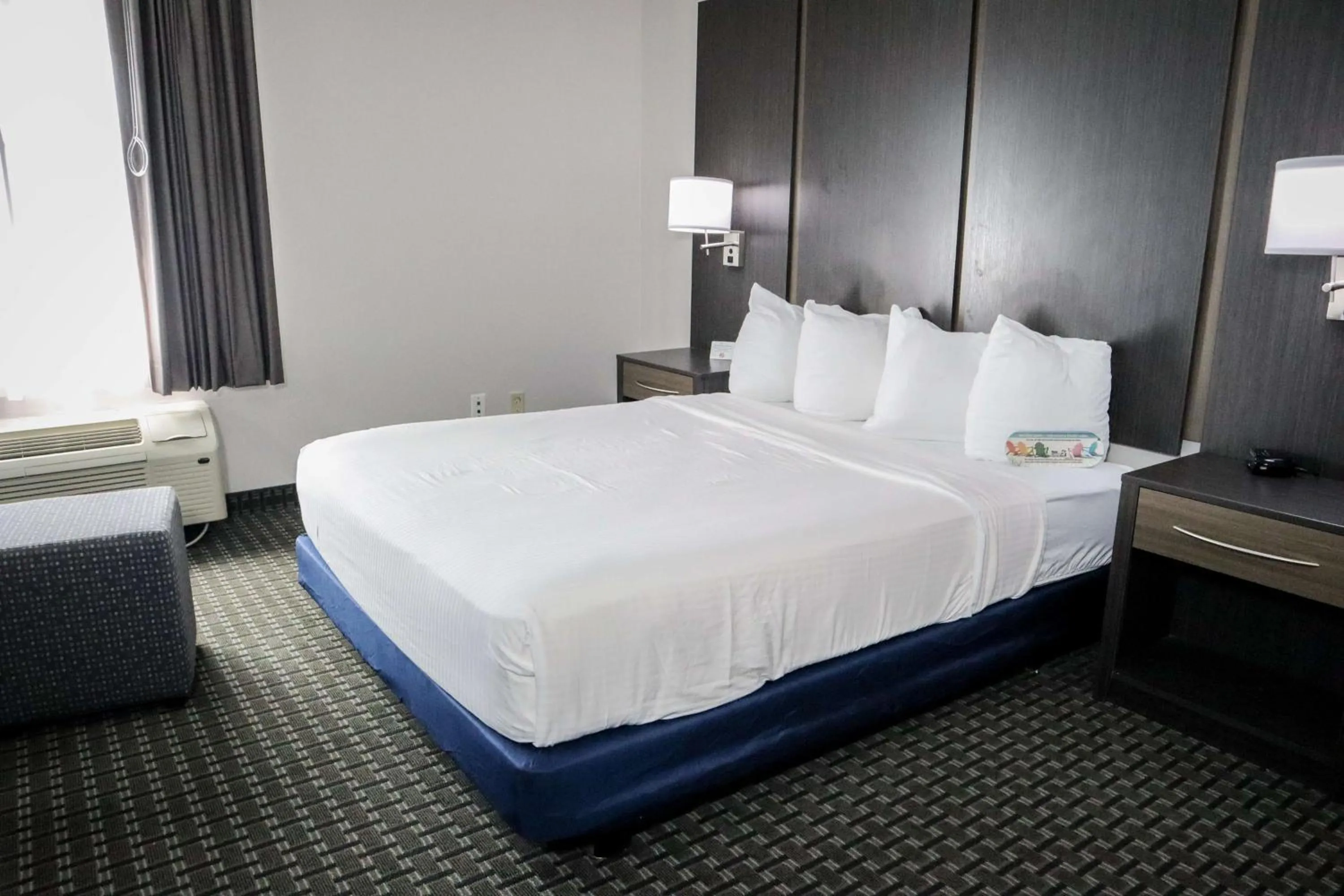 Queen Room with Mobility Accessible Roll-In Shower in Best Western Ocala Park Centre