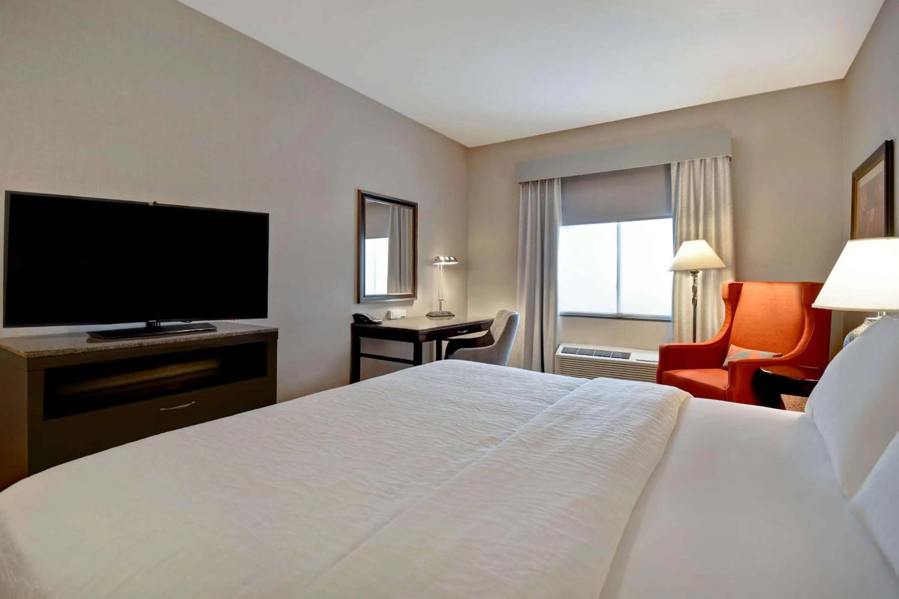 Deluxe King Room in Hilton Garden Inn Twin Falls