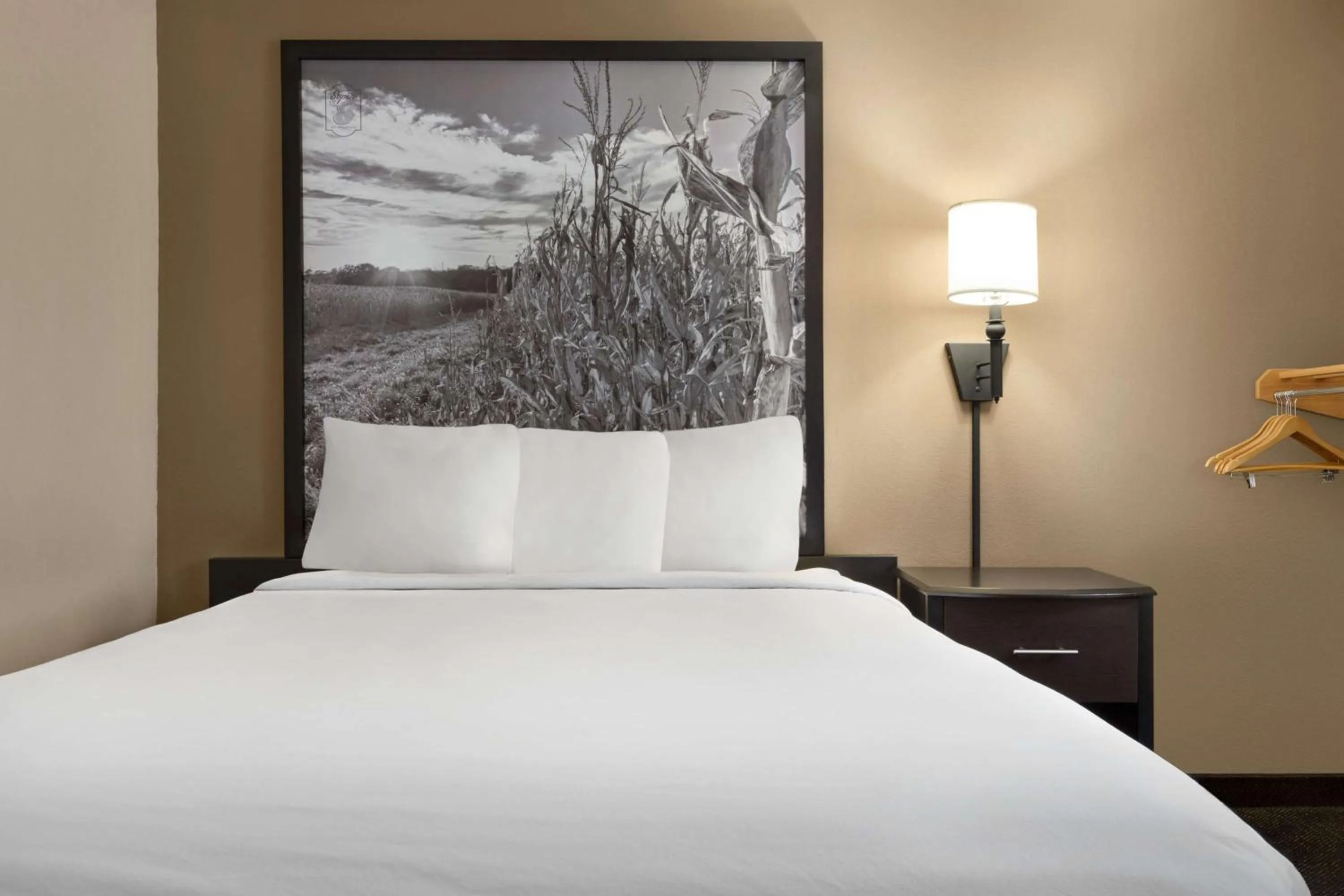 Queen Room - Mobility Access/Non-Smoking in Super 8 by Wyndham Lincoln North